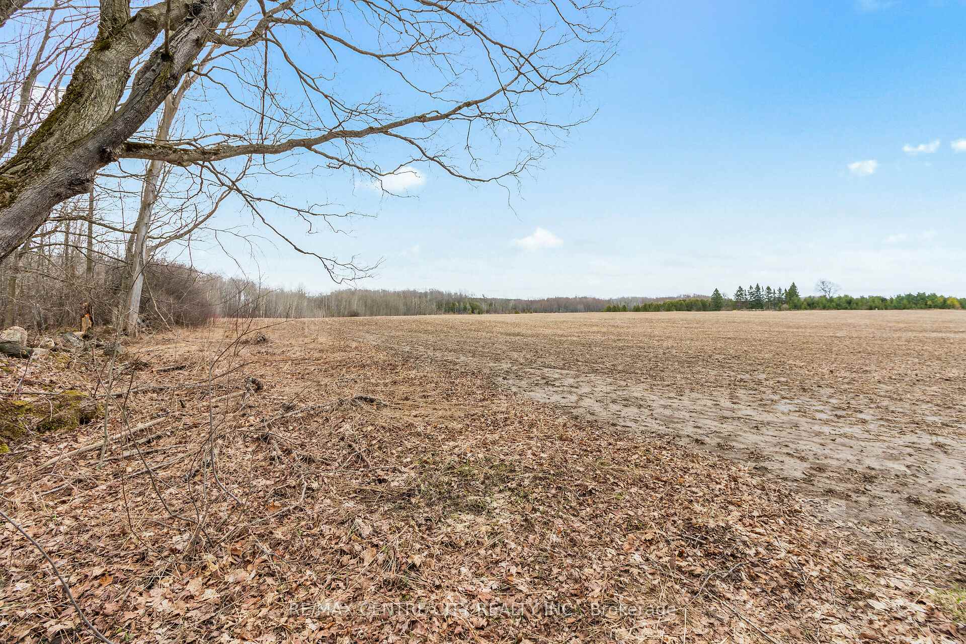 Photo 16 of 802241 Grey County 40 Road, Chatsworth — HOMEH