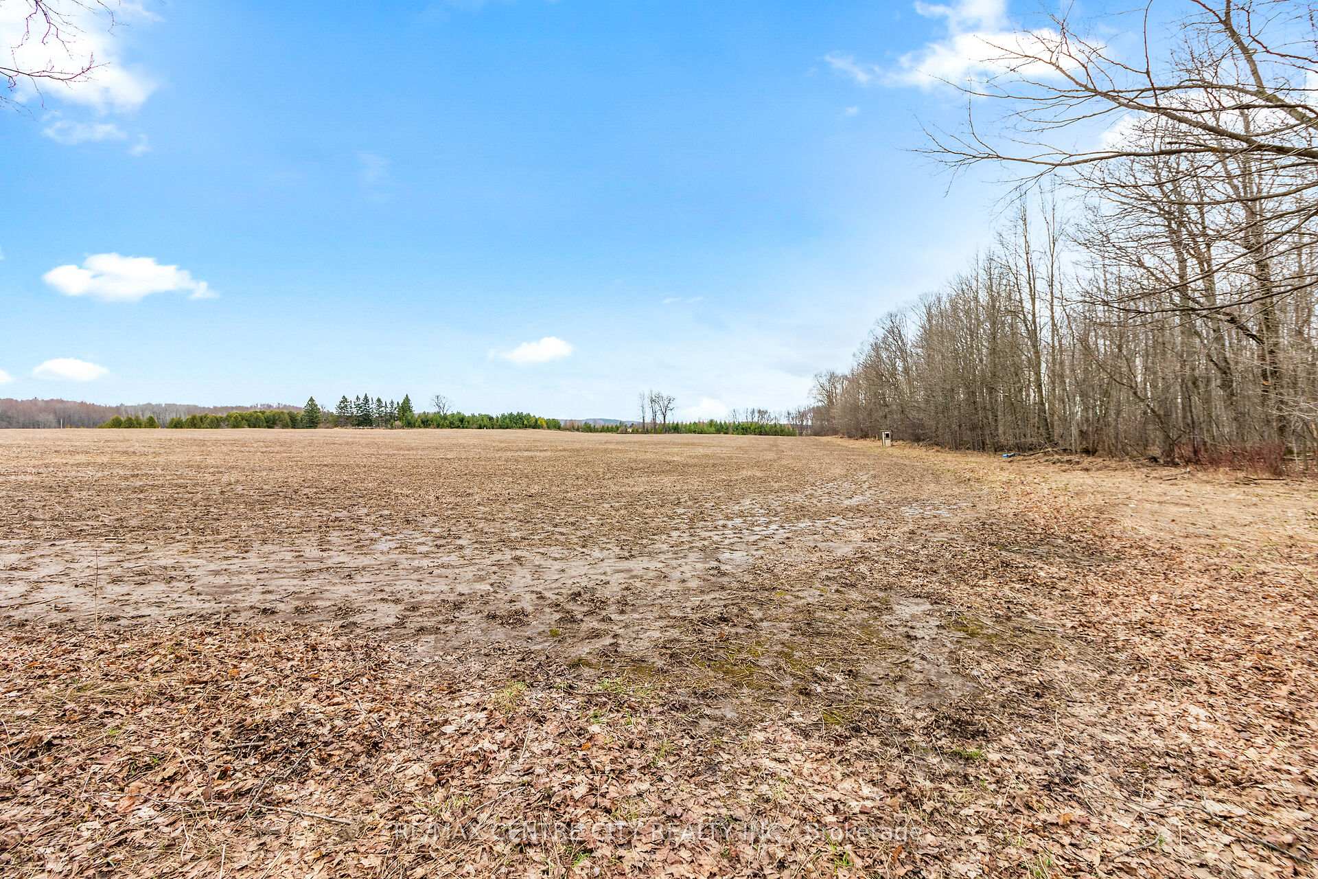 Photo 13 of 802241 Grey County 40 Road, Chatsworth — HOMEH