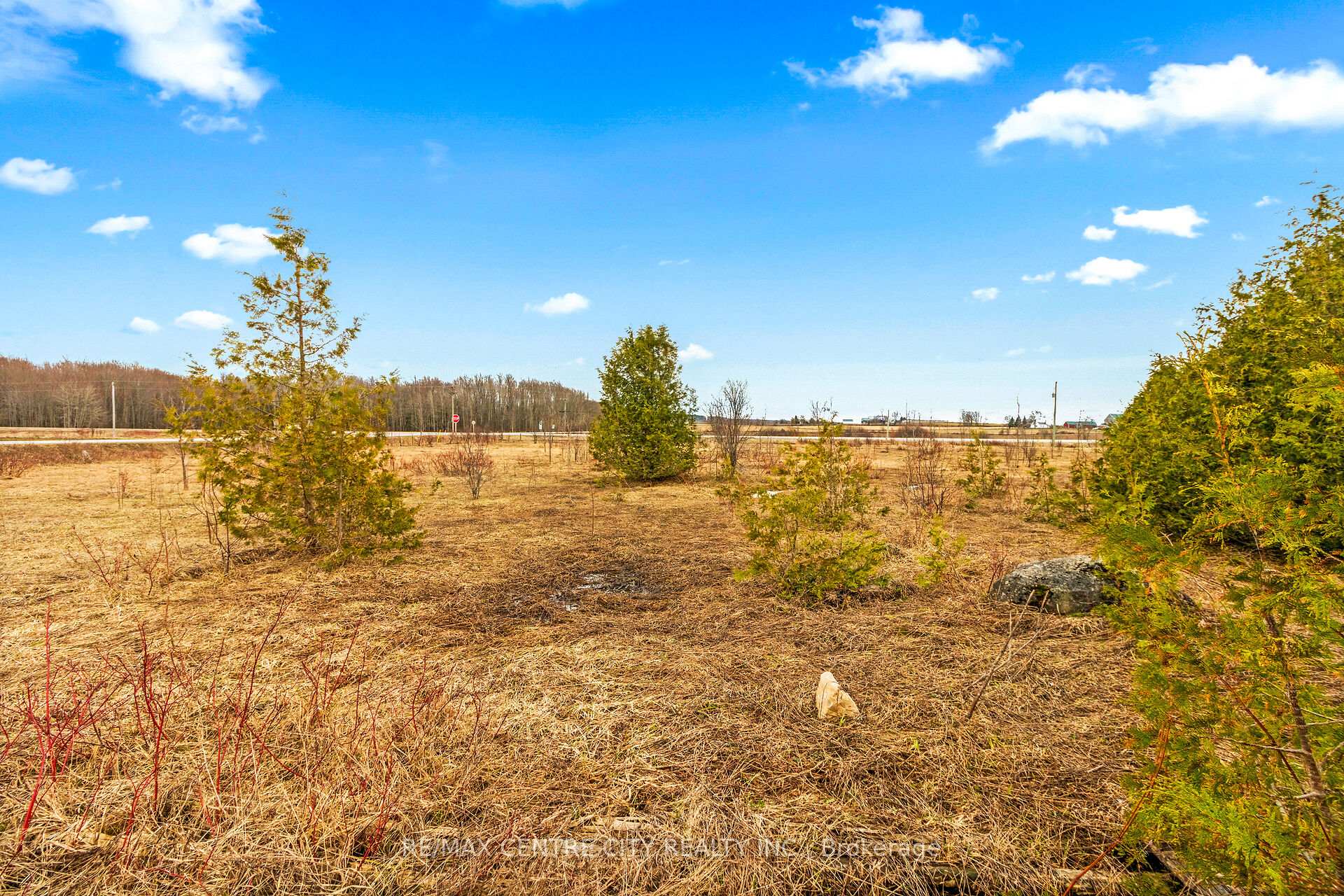 Photo 18 of 802241 Grey County 40 Road, Chatsworth — HOMEH