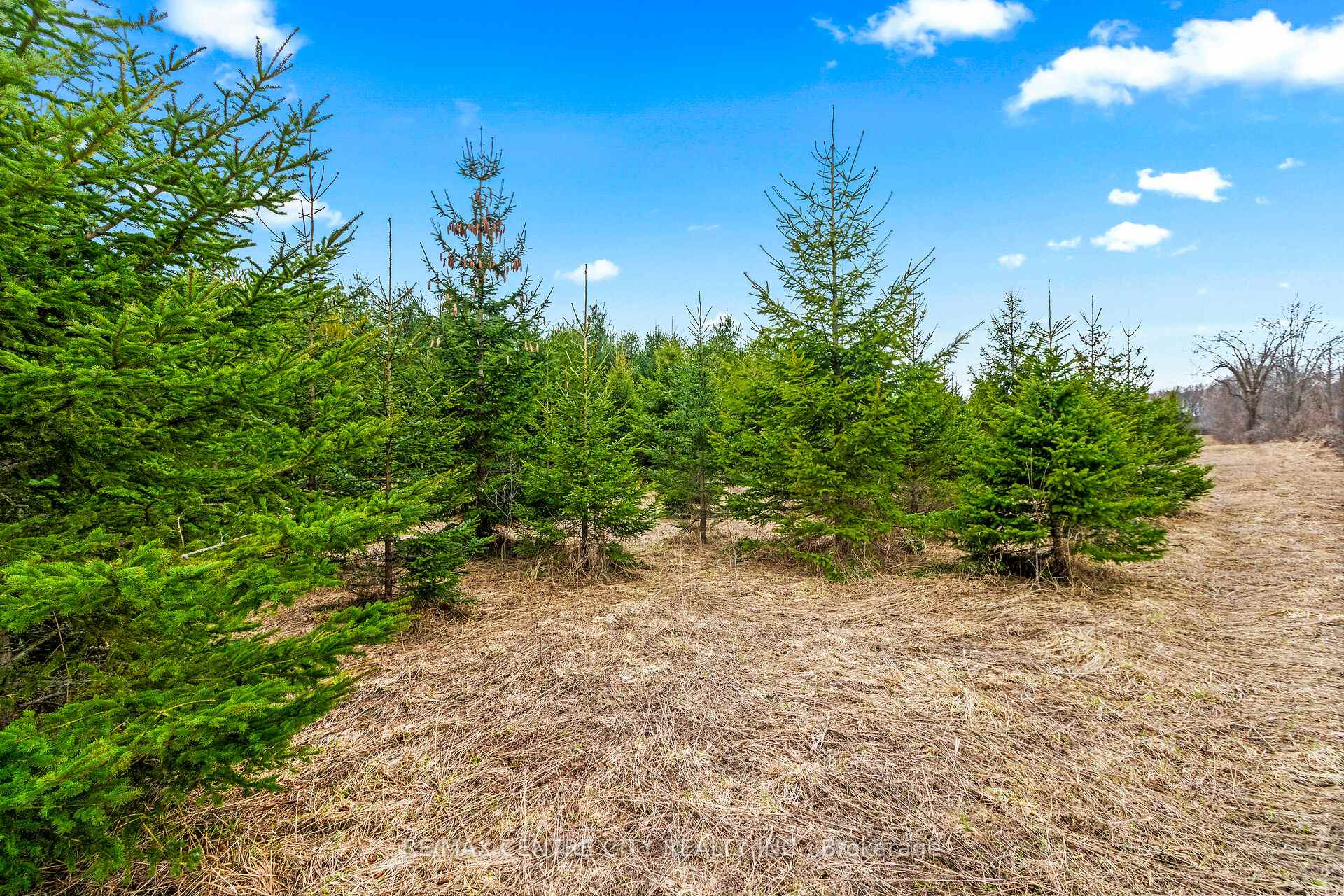 Photo 21 of 802241 Grey County 40 Road, Chatsworth — HOMEH