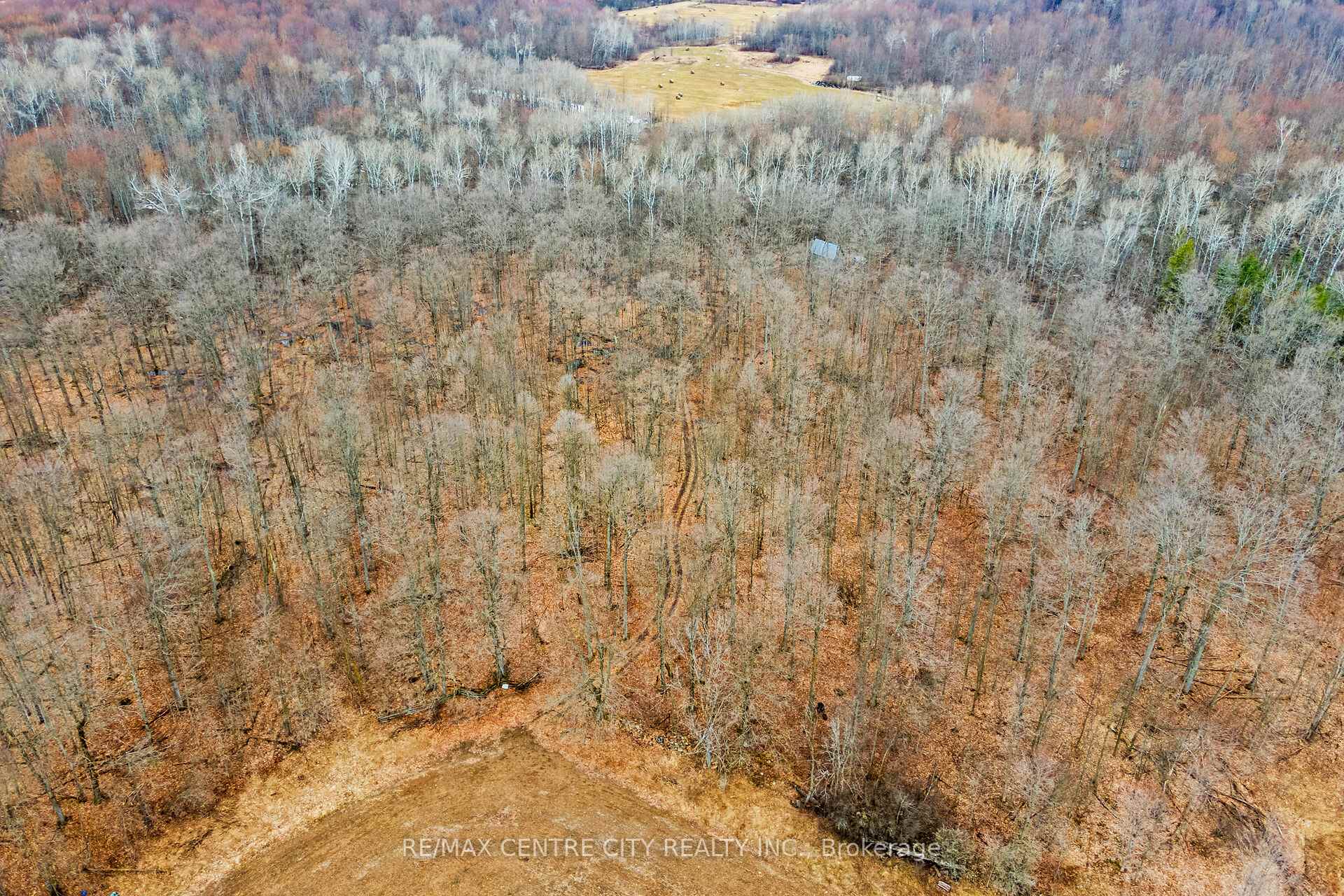 Photo 48 of 802241 Grey County 40 Road, Chatsworth — HOMEH