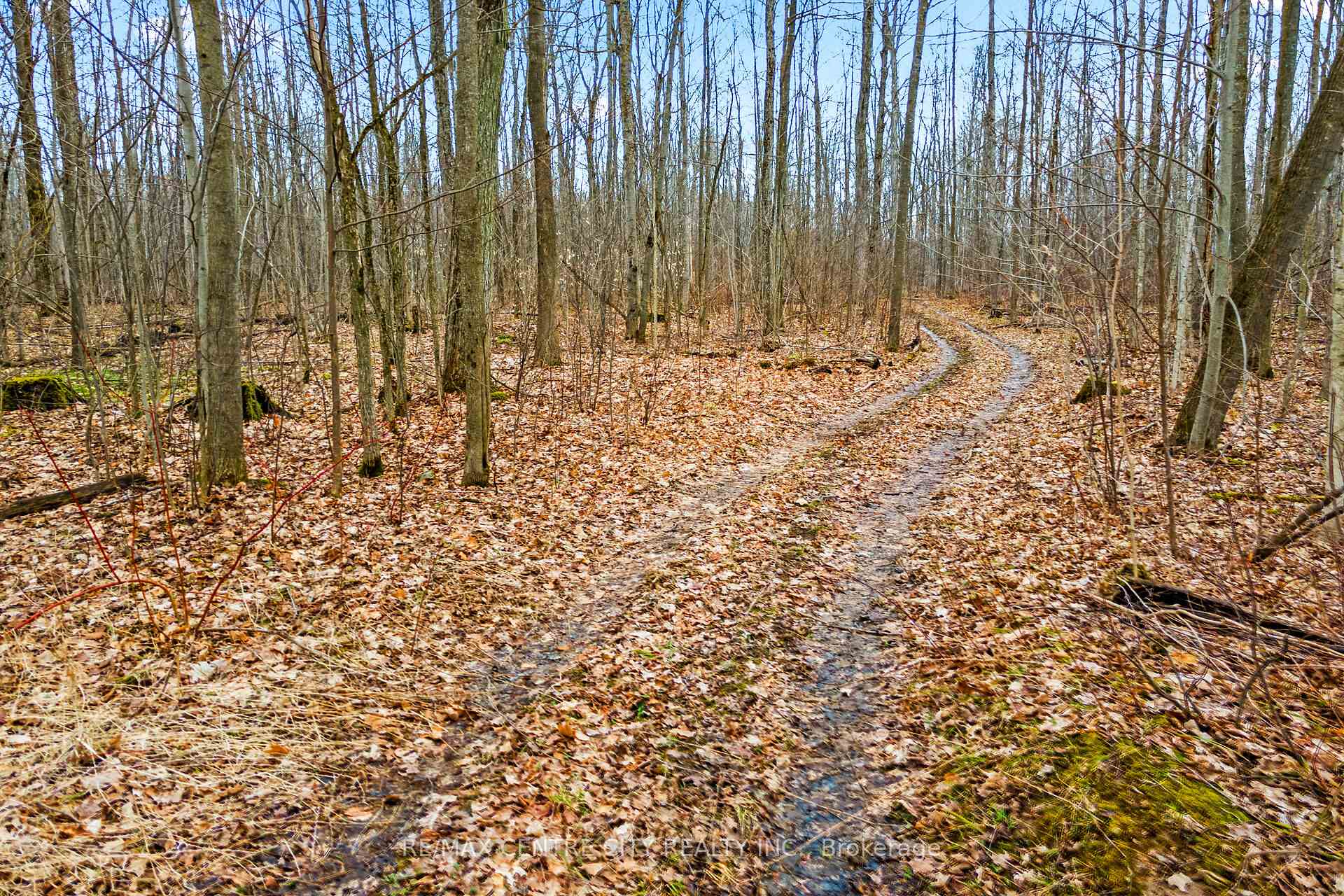 Photo 40 of 802241 Grey County 40 Road, Chatsworth — HOMEH
