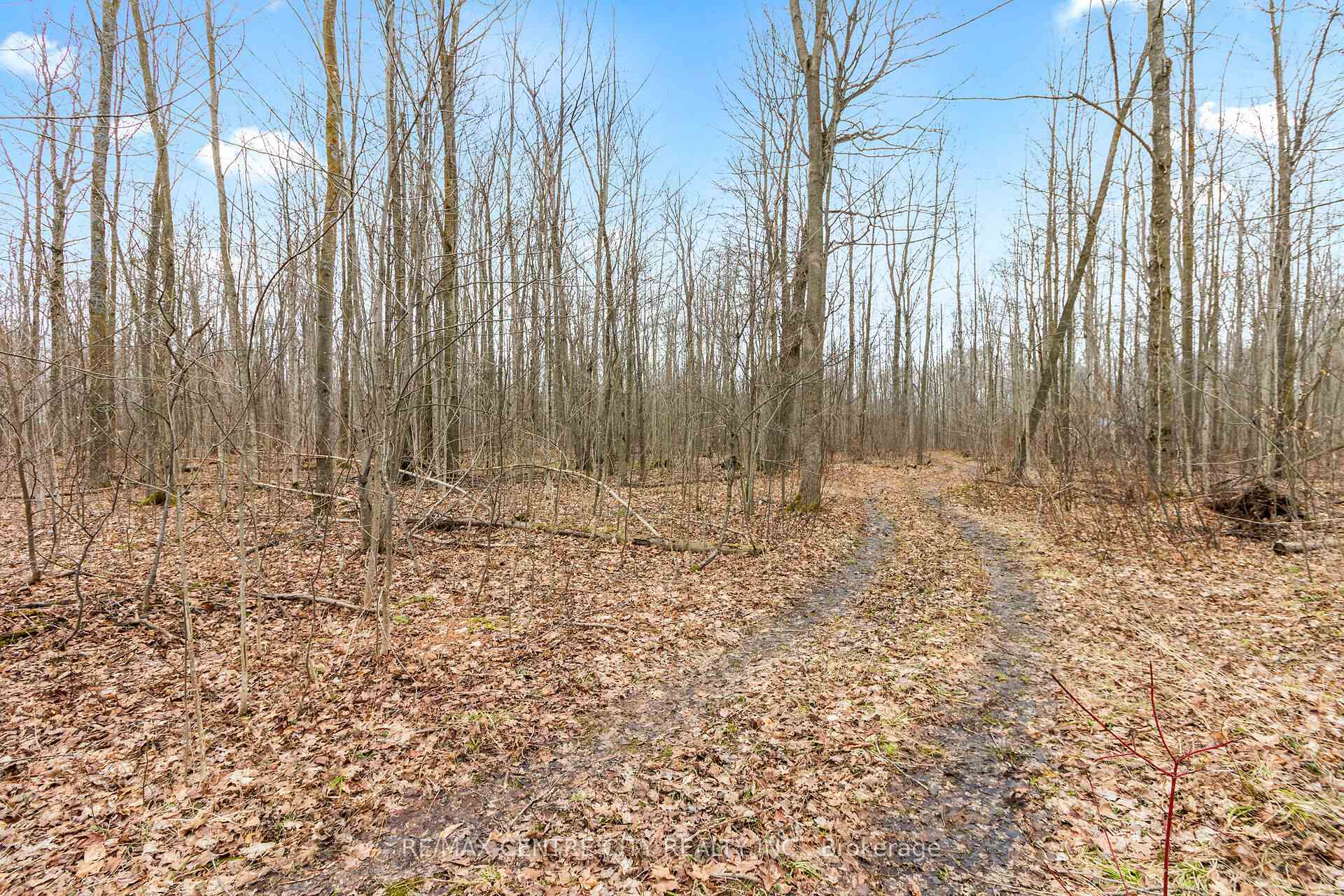 Photo 41 of 802241 Grey County 40 Road, Chatsworth — HOMEH