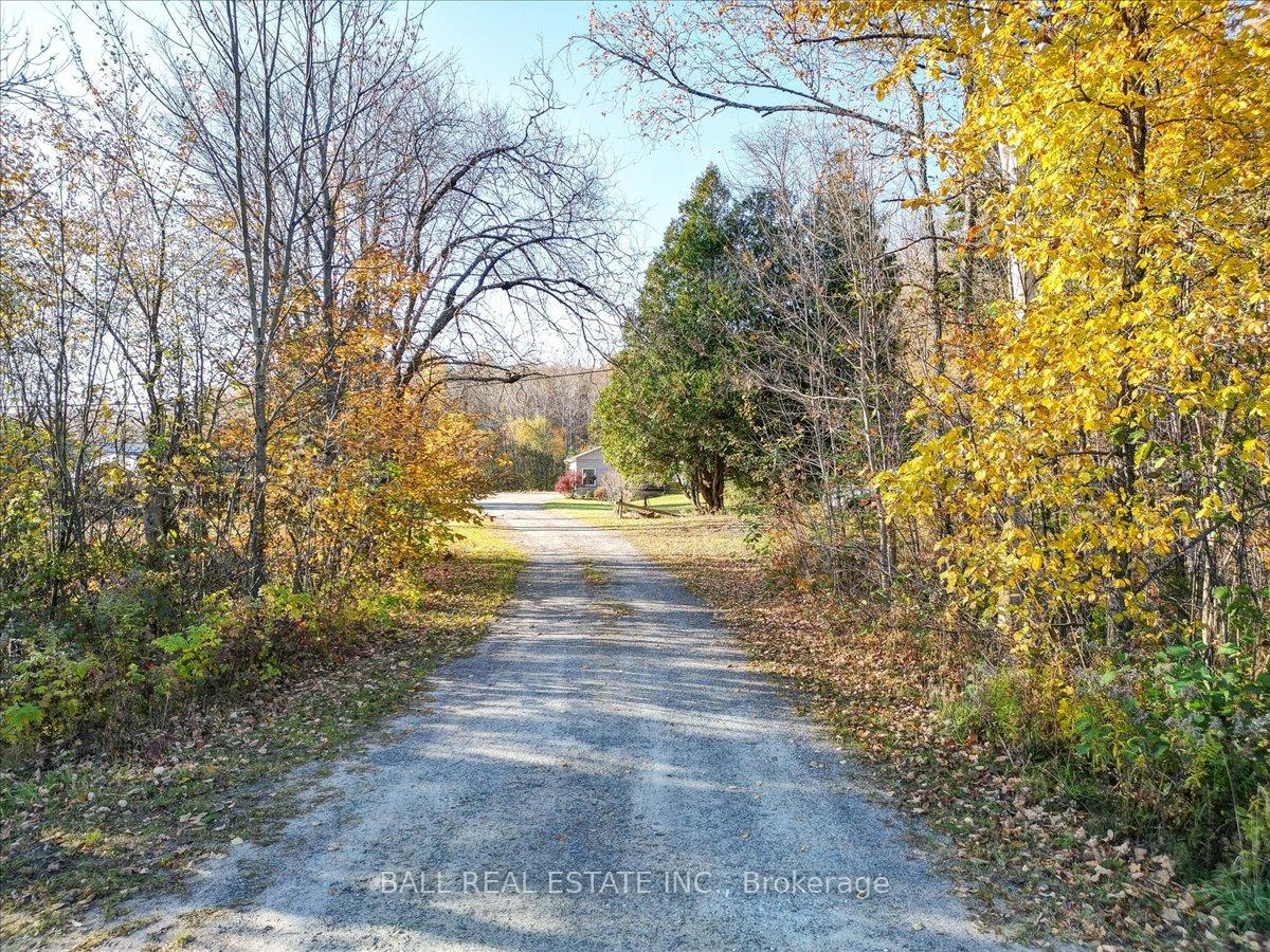 Photo 8 of 601 Airport Road, Faraday — HOMEH