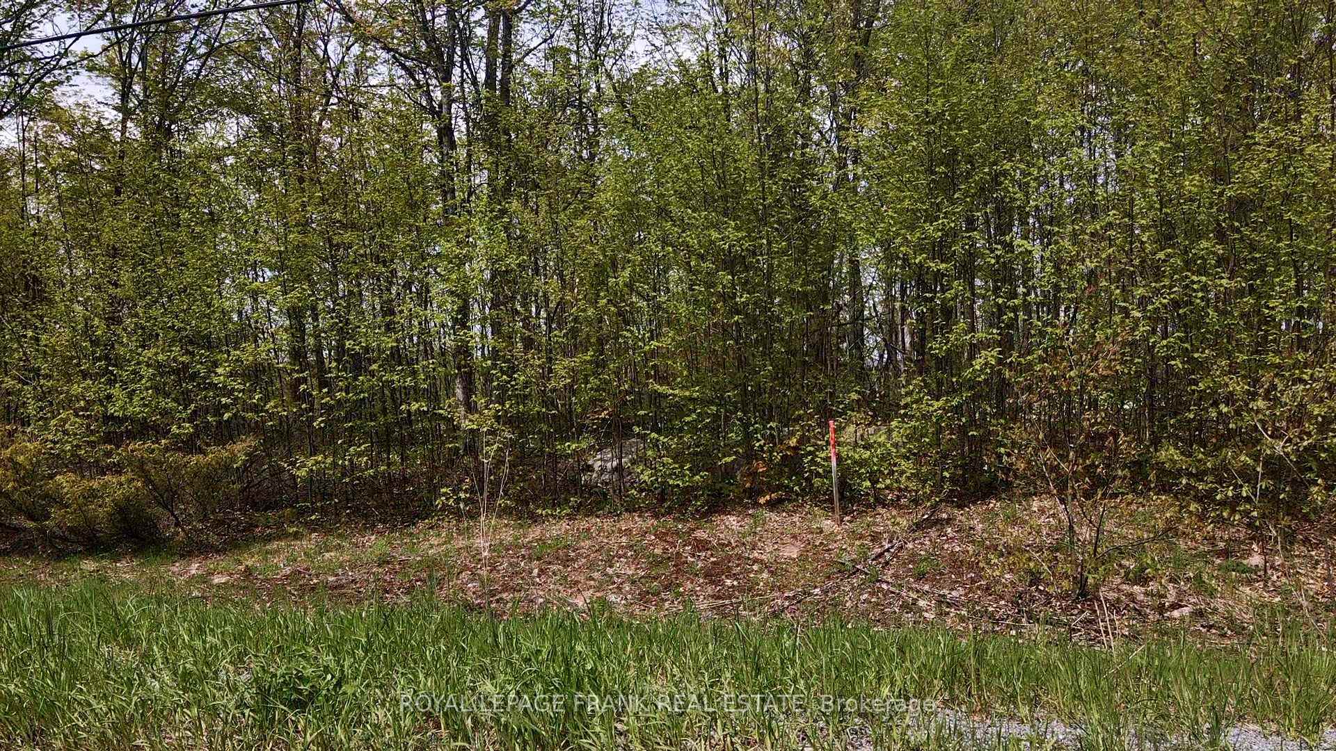 Photo 5 of 00 Birchview Road, Douro-Dummer — HOMEH