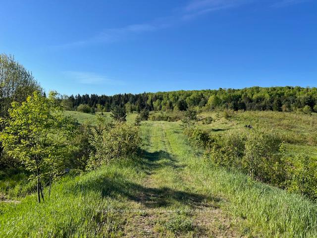 Photo 1 of John Street, Burk's Falls — HOMEH