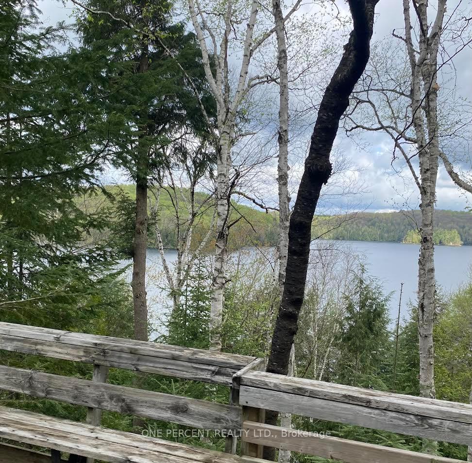 Photo 9 of 393 Loon Lake Road S, Kearney, Proudfoot — HOMEH