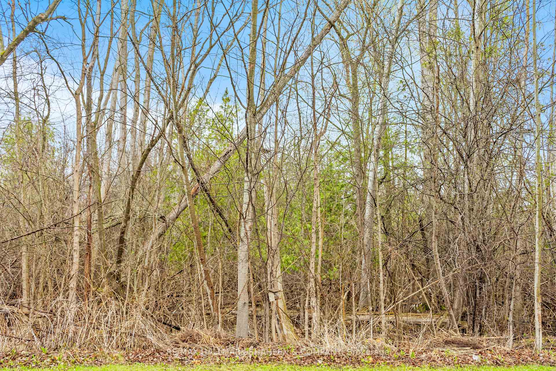 Photo 50 of 150 Thicket Crescent, Pickering, Highbush — HOMEH
