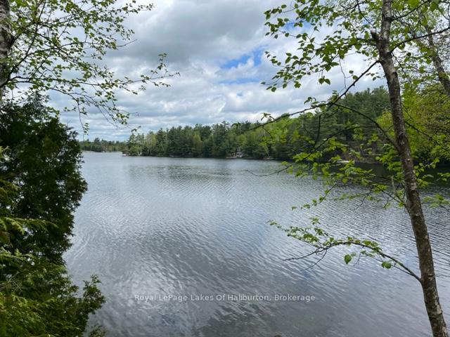 Photo 2 of 1183 Kendrick Creek Lane, Minden Hills, Snowdon — HOMEH