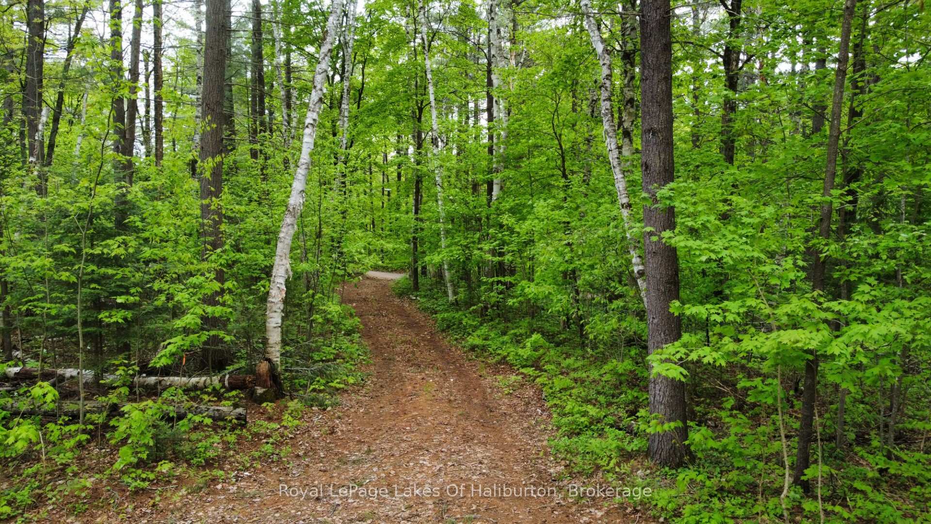 Photo 29 of 1183 Kendrick Creek Lane, Minden Hills, Snowdon — HOMEH