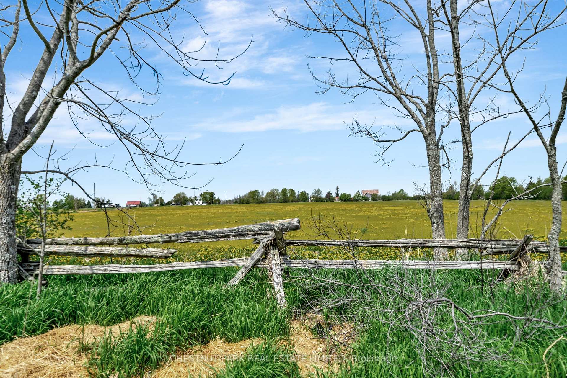 Photo 5 of 418 Matthie Road, Prince Edward County, Bloomfield — HOMEH