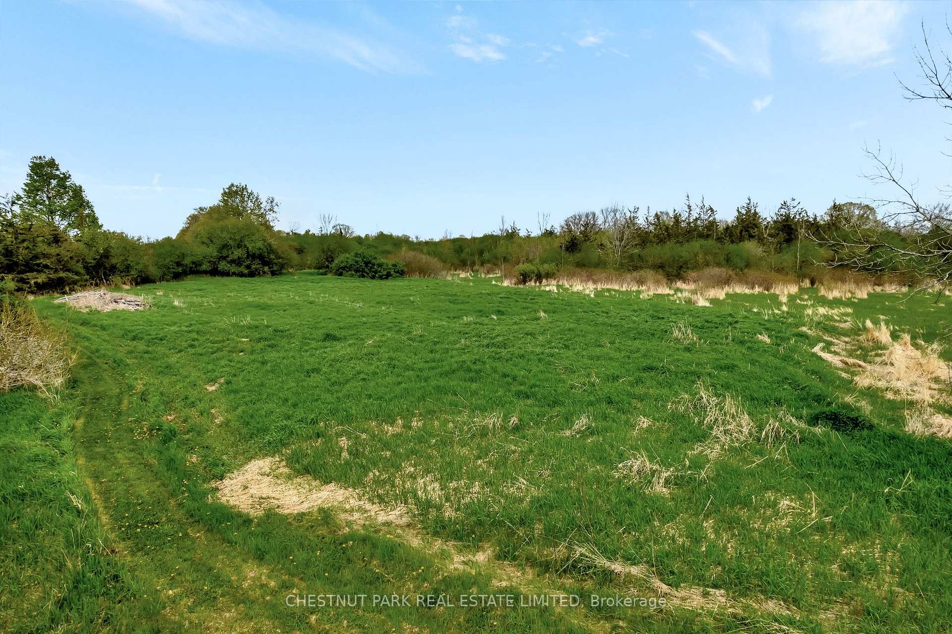 Photo 37 of 418 Matthie Road, Prince Edward County, Bloomfield — HOMEH
