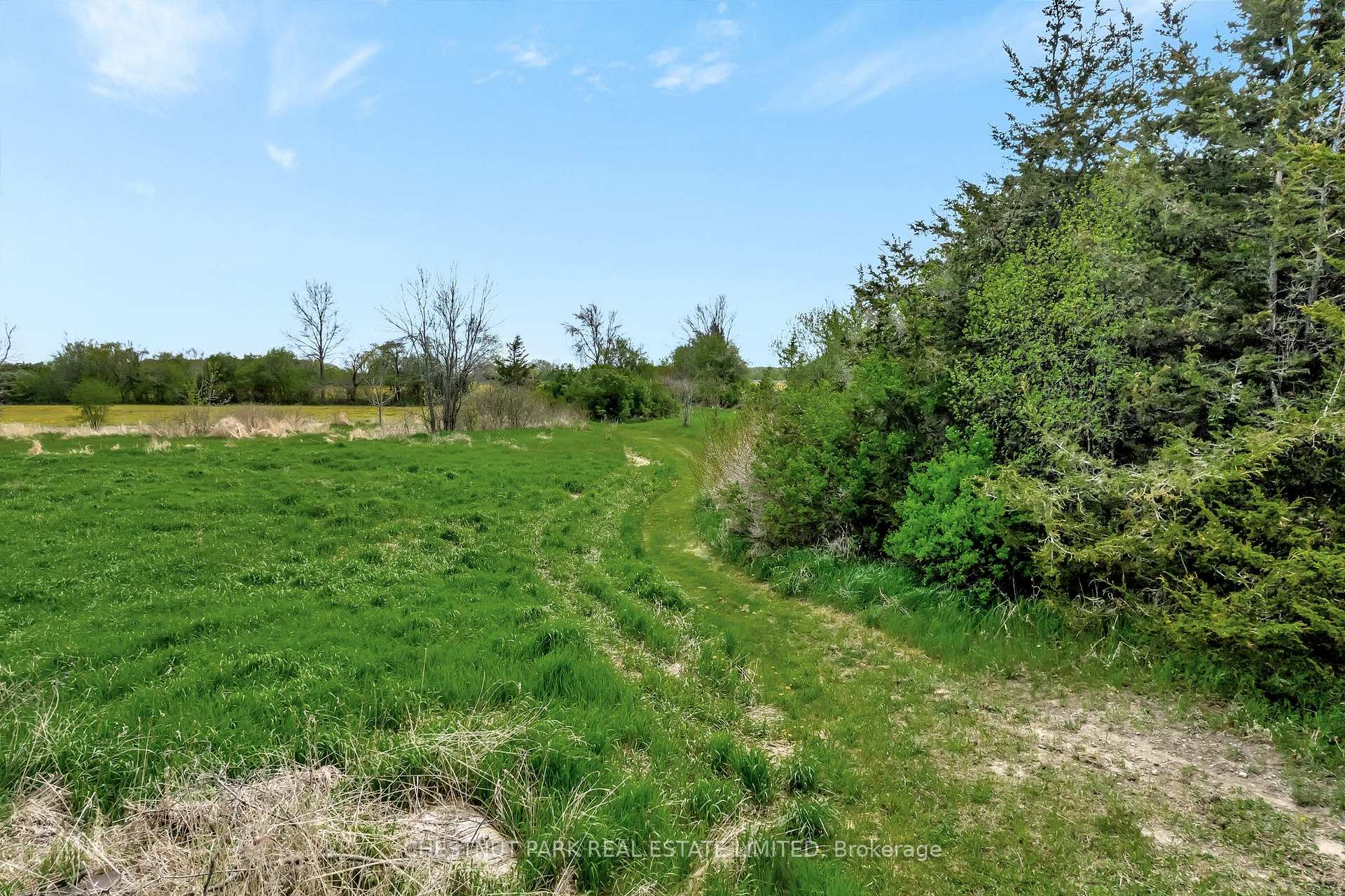 Photo 40 of 418 Matthie Road, Prince Edward County, Bloomfield — HOMEH