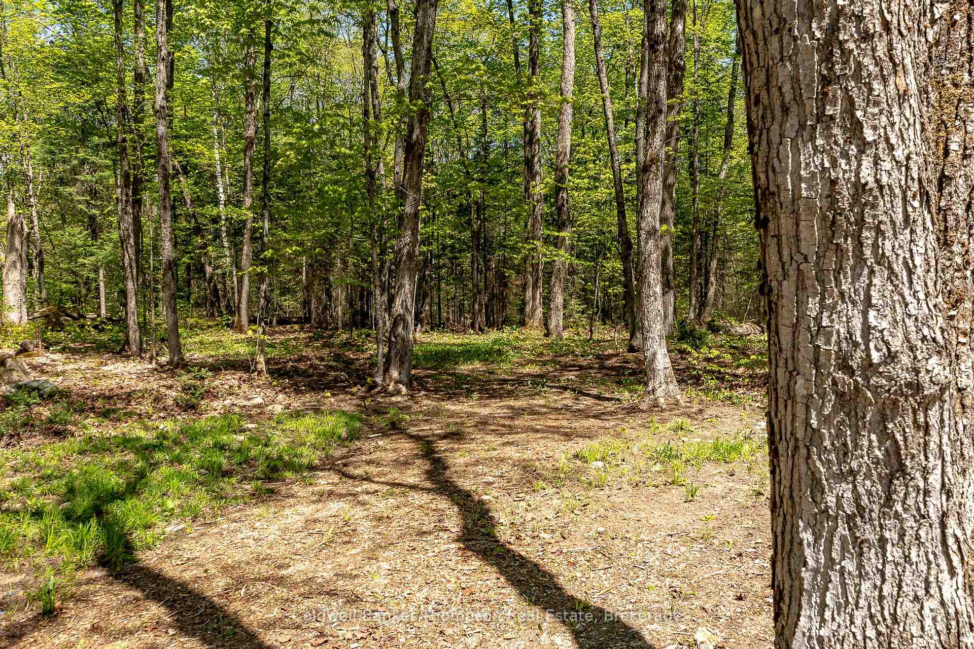 Photo 46 of 721 Savage Settlement Road, Perry, Novar — HOMEH