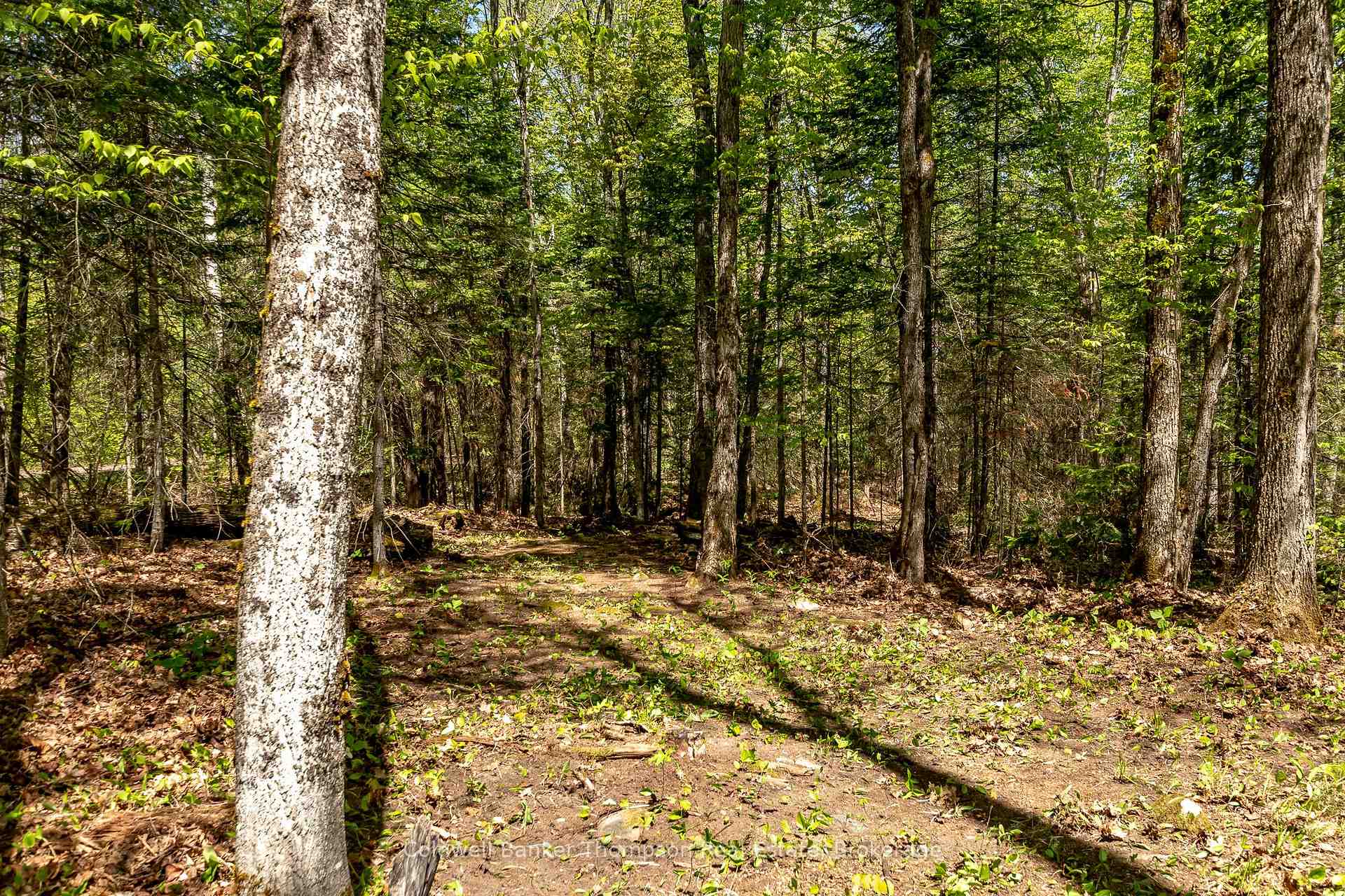 Photo 38 of 721 Savage Settlement Road, Perry, Novar — HOMEH