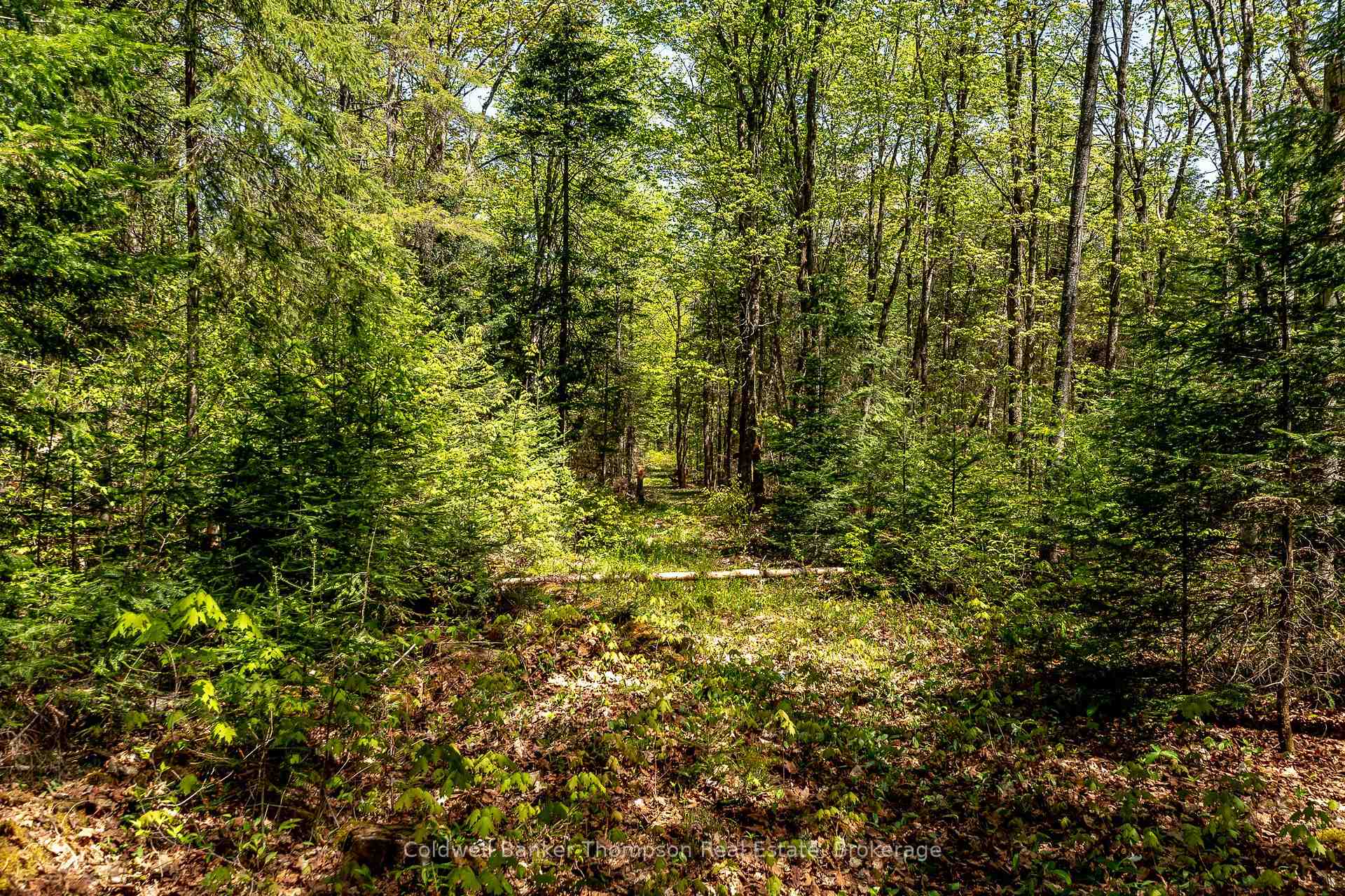 Photo 30 of 721 Savage Settlement Road, Perry, Novar — HOMEH