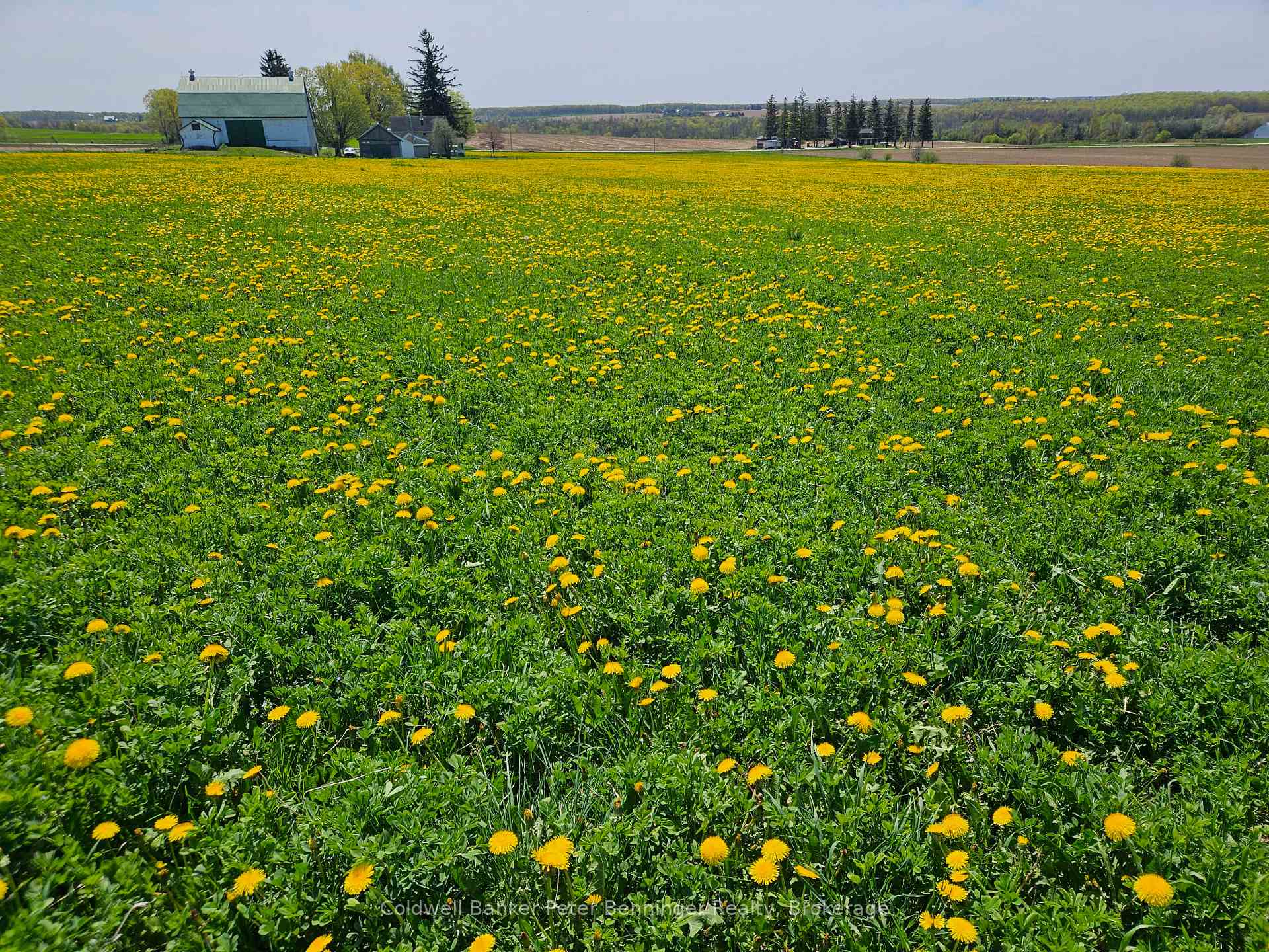 Photo 34 of 181463 12 Concession, West Grey — HOMEH