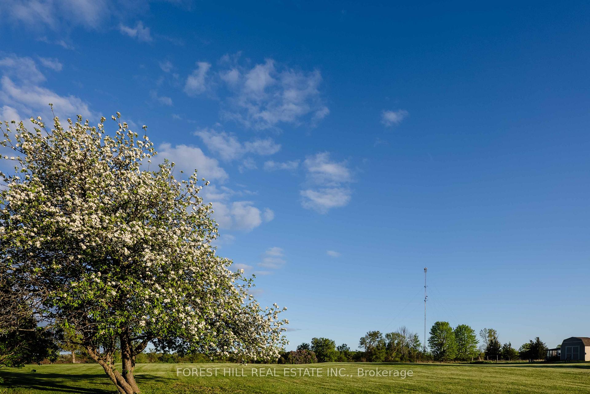 Photo 27 of 590 Bond Road, Prince Edward County, South Marysburg Ward — HOMEH