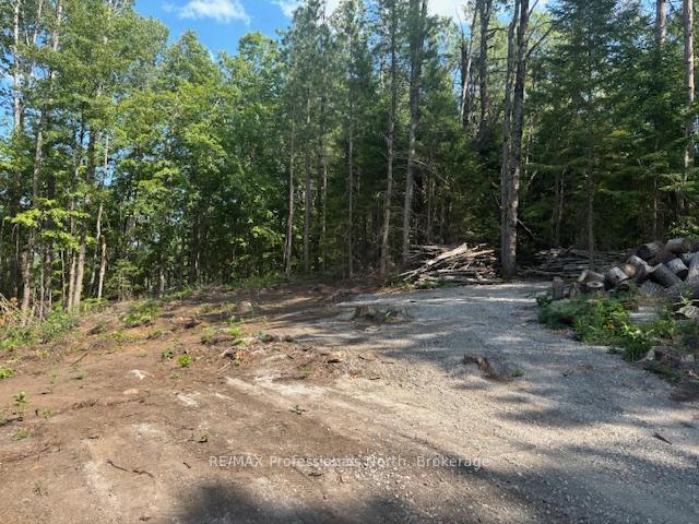 Photo 1 of 2816 Gelert Road, Minden Hills, Snowdon — HOMEH