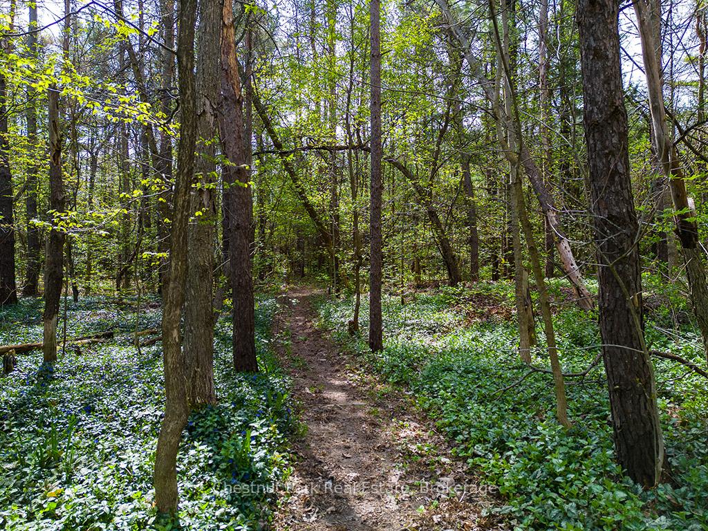 Photo 15 of 111 Blue Mountain Maples Road, Grey Highlands — HOMEH