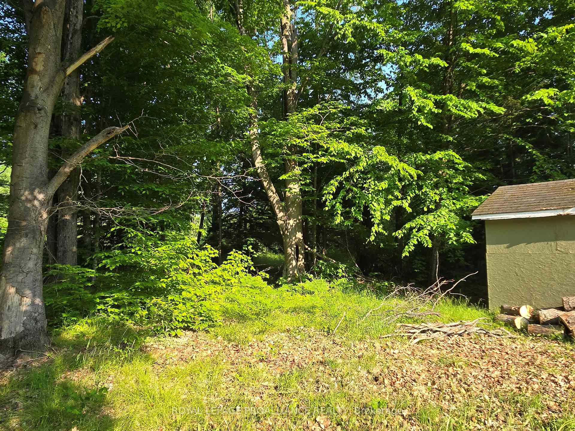 Photo 14 of 2476 Henderson Road, Central Frontenac, Frontenac Centre — HOMEH