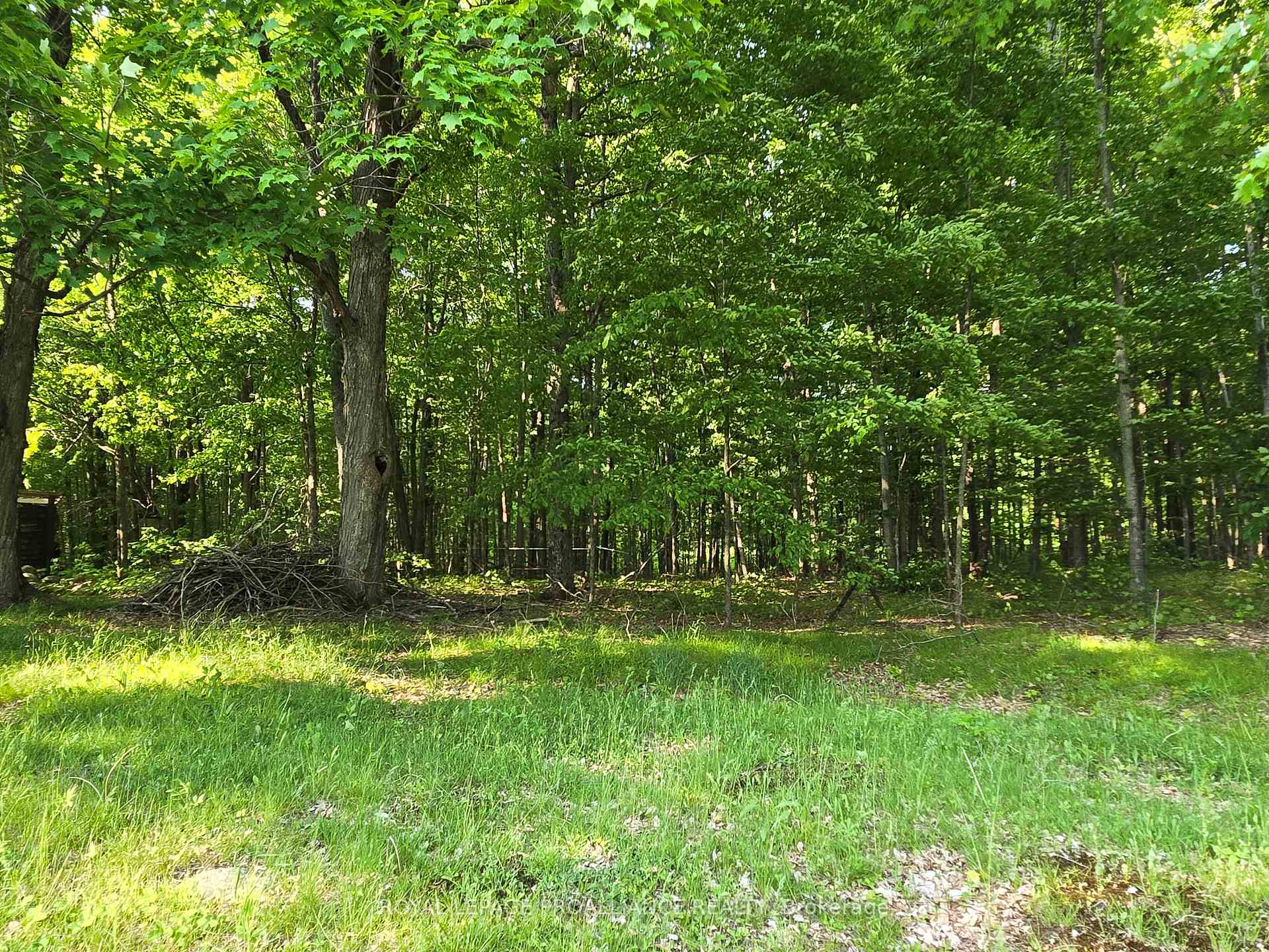 Photo 24 of 2476 Henderson Road, Central Frontenac, Frontenac Centre — HOMEH