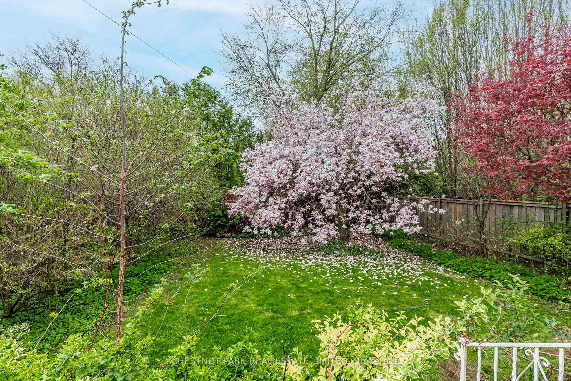 Photo 17 of 53 Caribou Road, Toronto, Bedford Park-Nortown — HOMEH