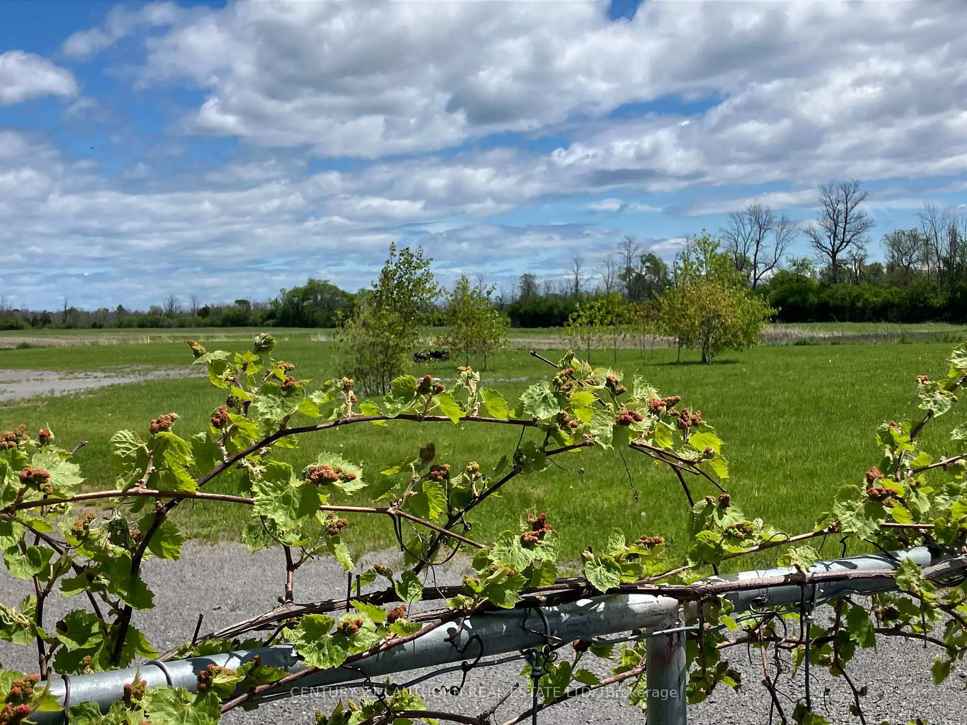 Photo 2 of 3425 County Rd 10, Prince Edward County, South Marysburgh — HOMEH