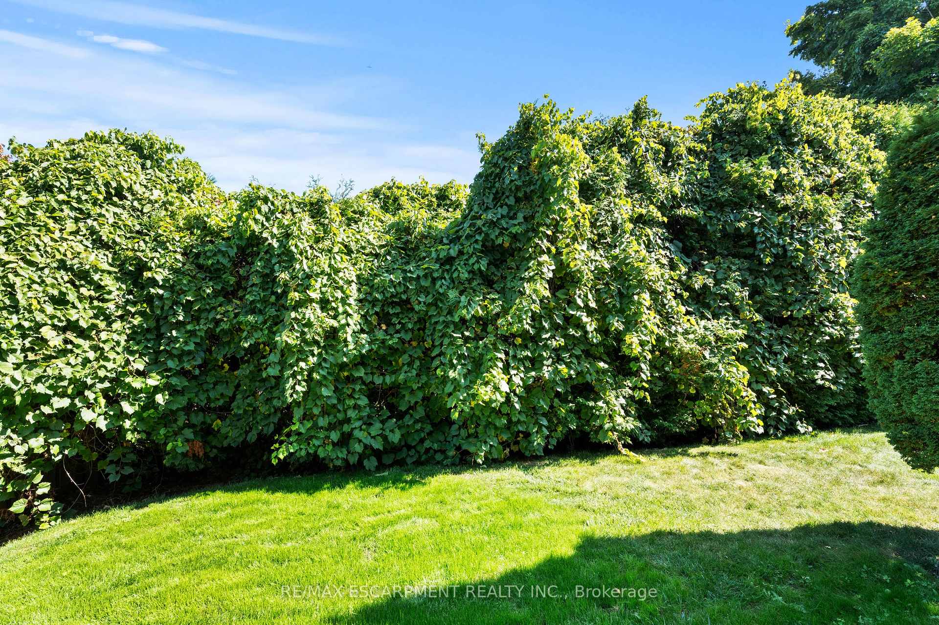Photo 29 of Unit F, 924 Mohawk Road, Hamilton, Mountview — HOMEH