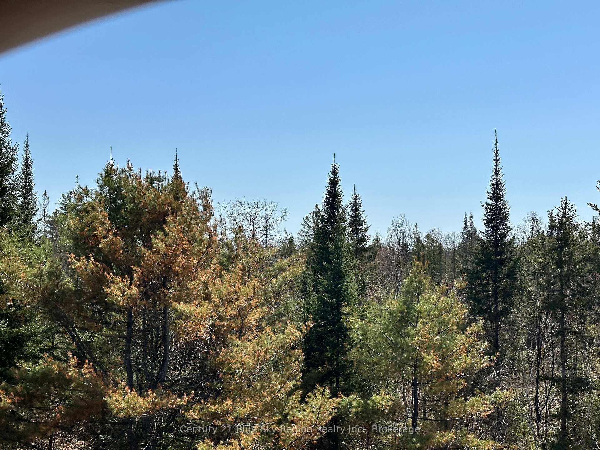 Photo 2 of PT LT 20 Highway 17 E, Calvin — HOMEH