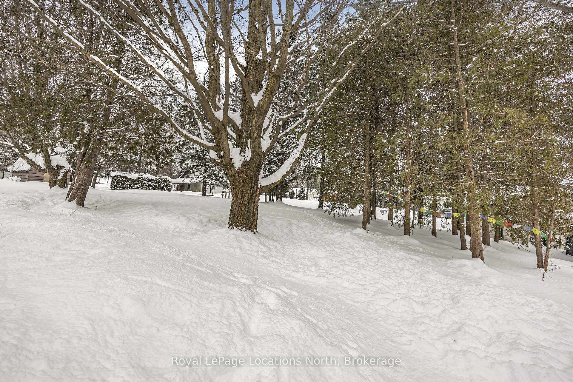 Photo 32 of 5 Church Street, Clearview, Singhampton — HOMEH