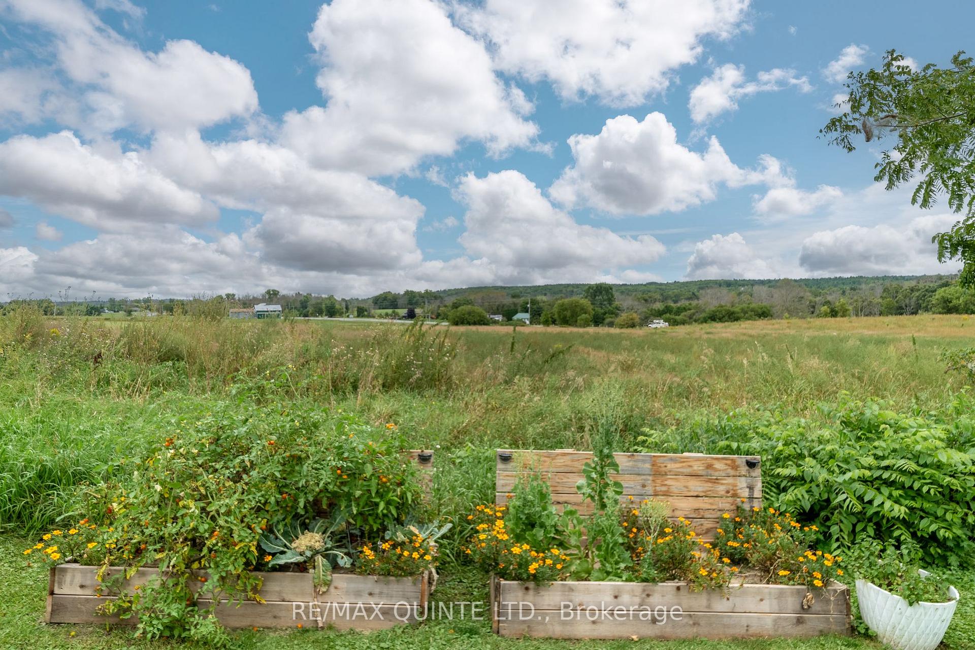 Photo 34 of 219 William Street, Stirling-Rawdon, Stirling Ward — HOMEH