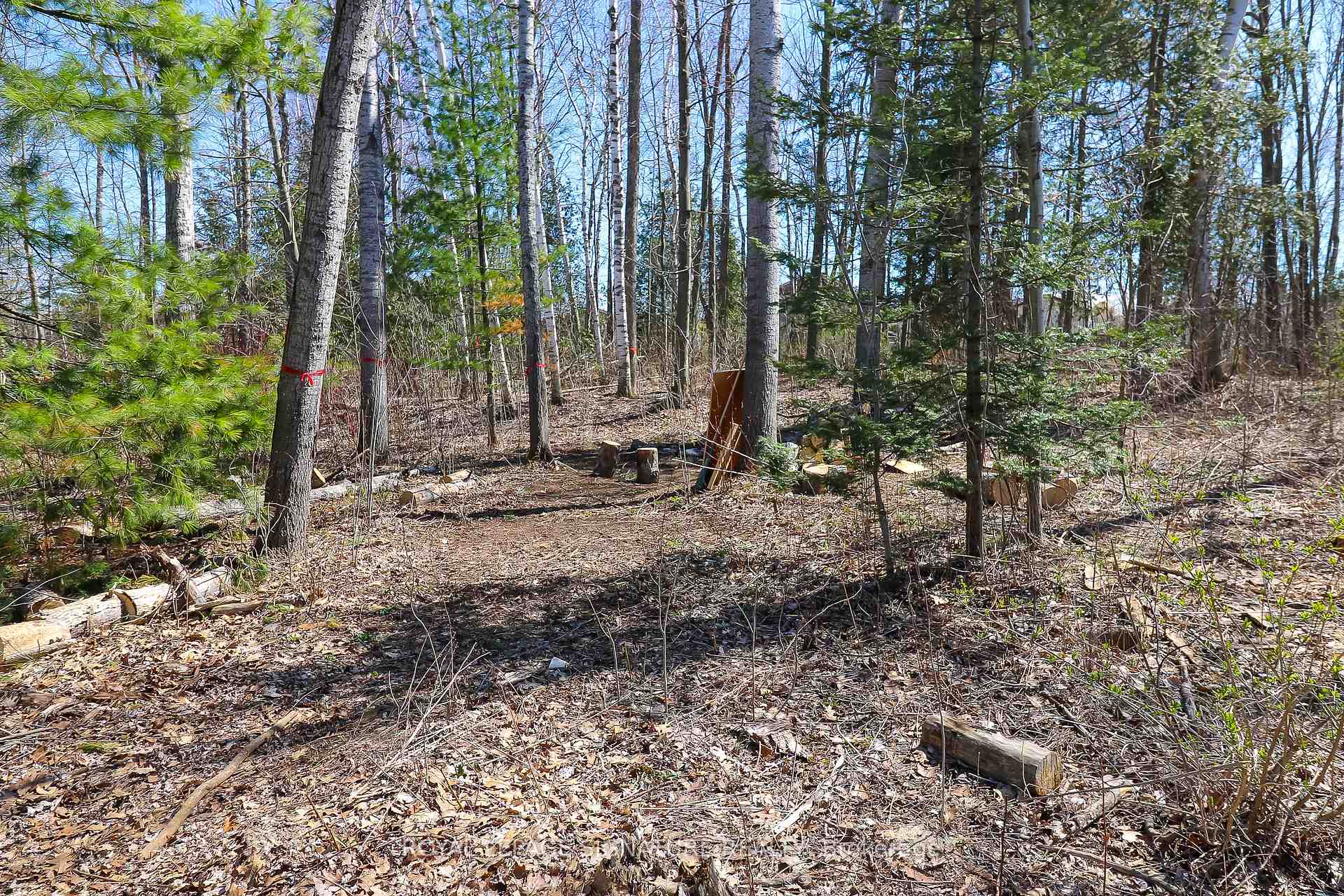 Photo 23 of 3 Brillinger Drive, Wasaga Beach — HOMEH