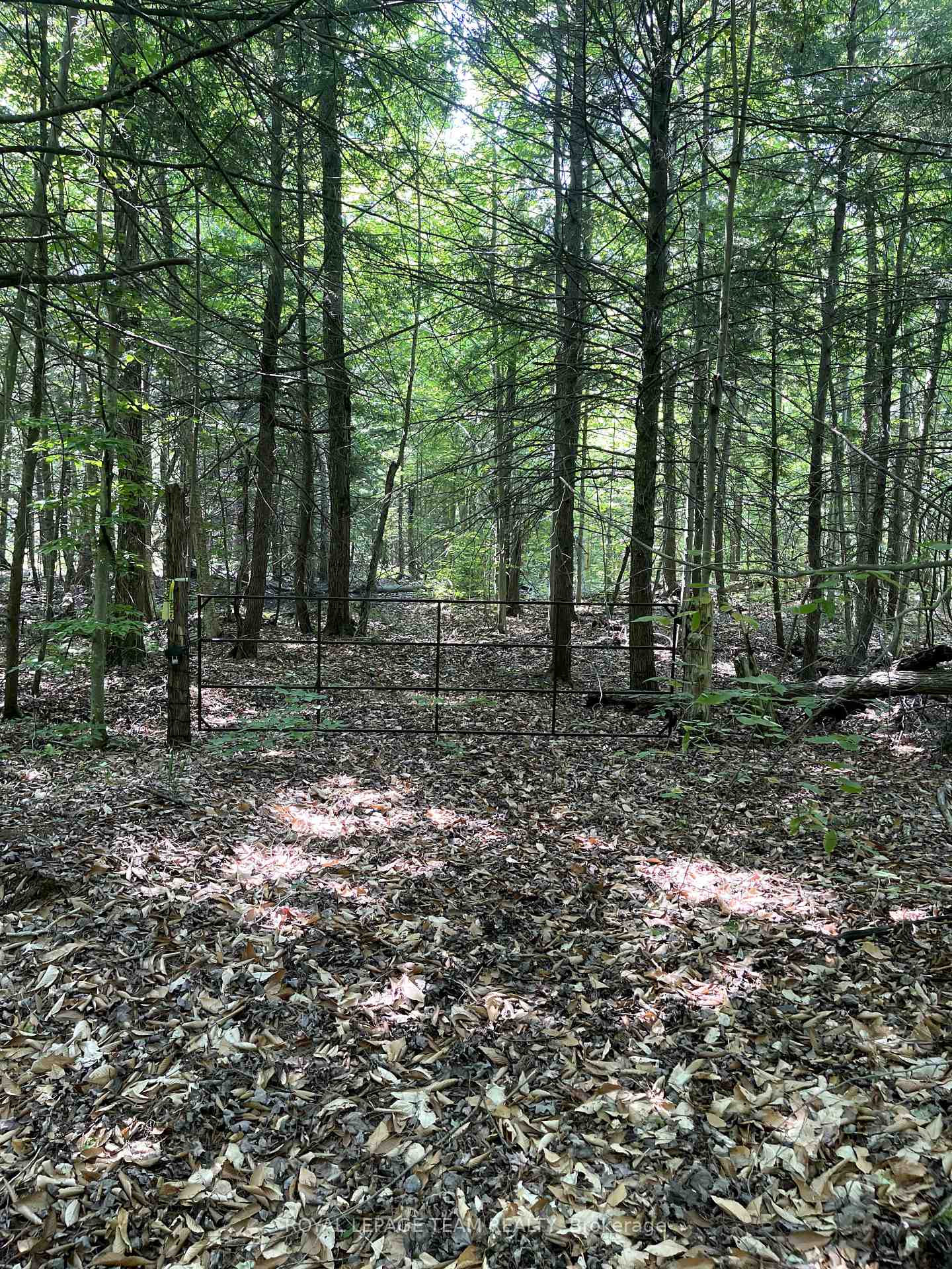 Photo 3 of 000 Dukelow Road, Edwardsburgh/Cardinal, Edwardsburgh/Cardinal Twp — HOMEH