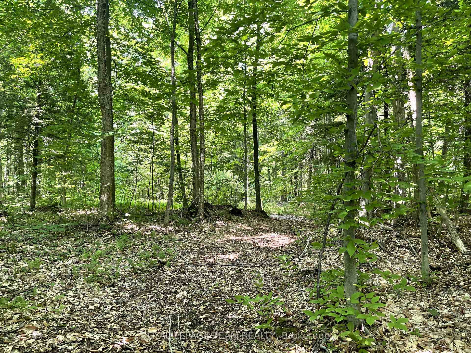 Photo 19 of 000 Dukelow Road, Edwardsburgh/Cardinal, Edwardsburgh/Cardinal Twp — HOMEH