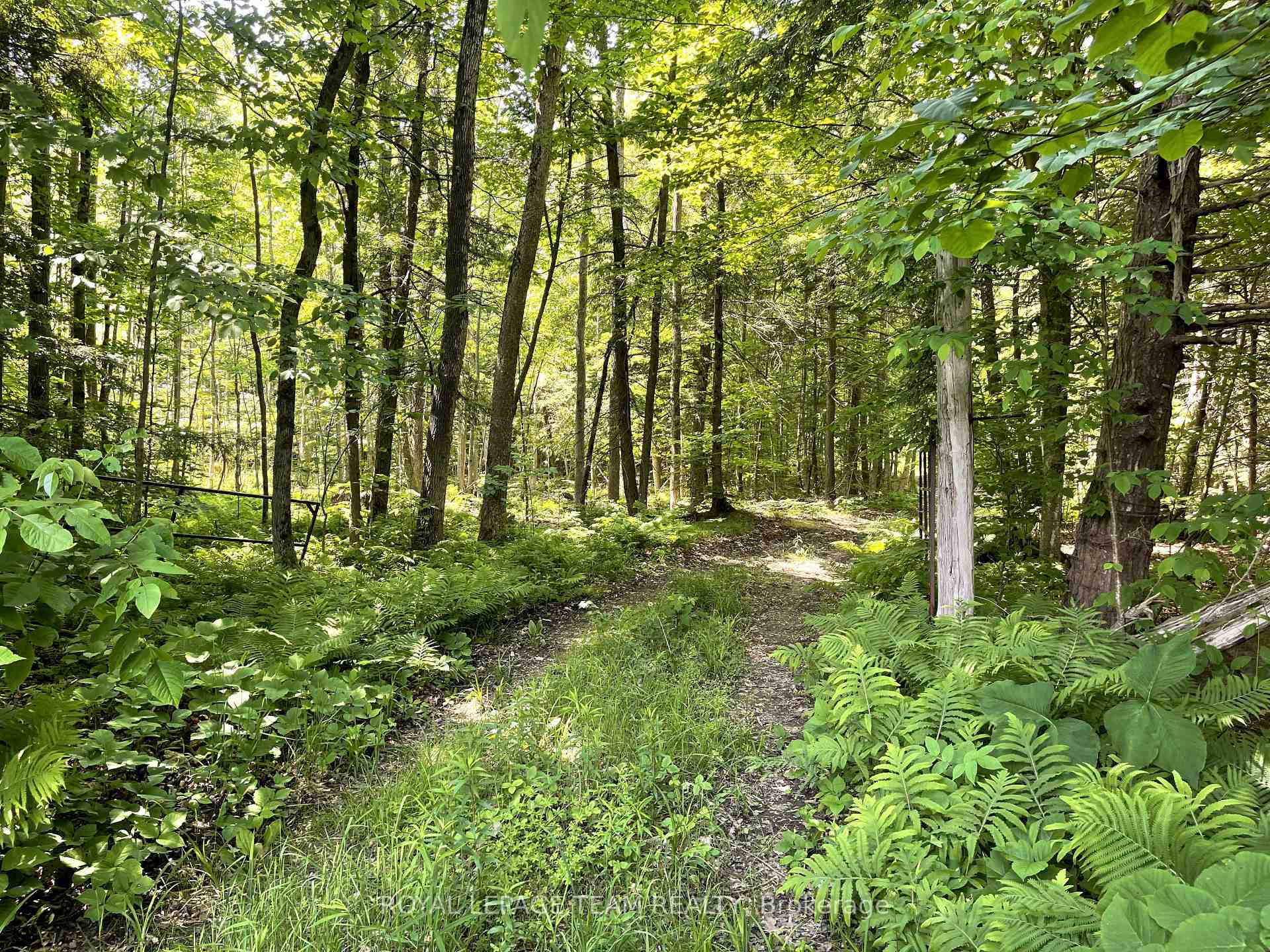 Photo 11 of 000 Dukelow Road, Edwardsburgh/Cardinal, Edwardsburgh/Cardinal Twp — HOMEH