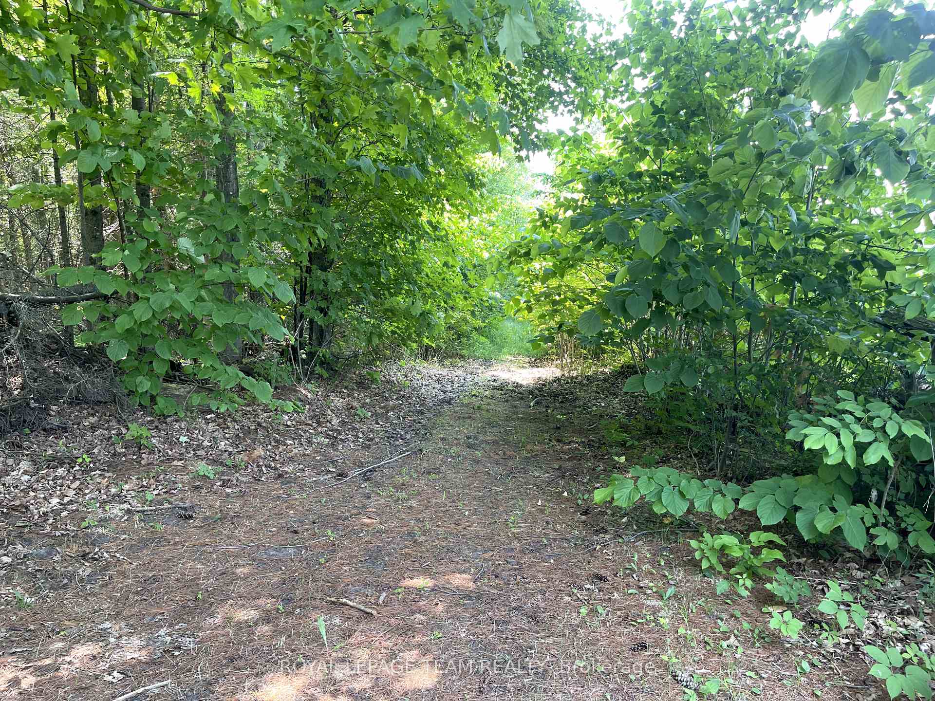 Photo 22 of 000 Dukelow Road, Edwardsburgh/Cardinal, Edwardsburgh/Cardinal Twp — HOMEH