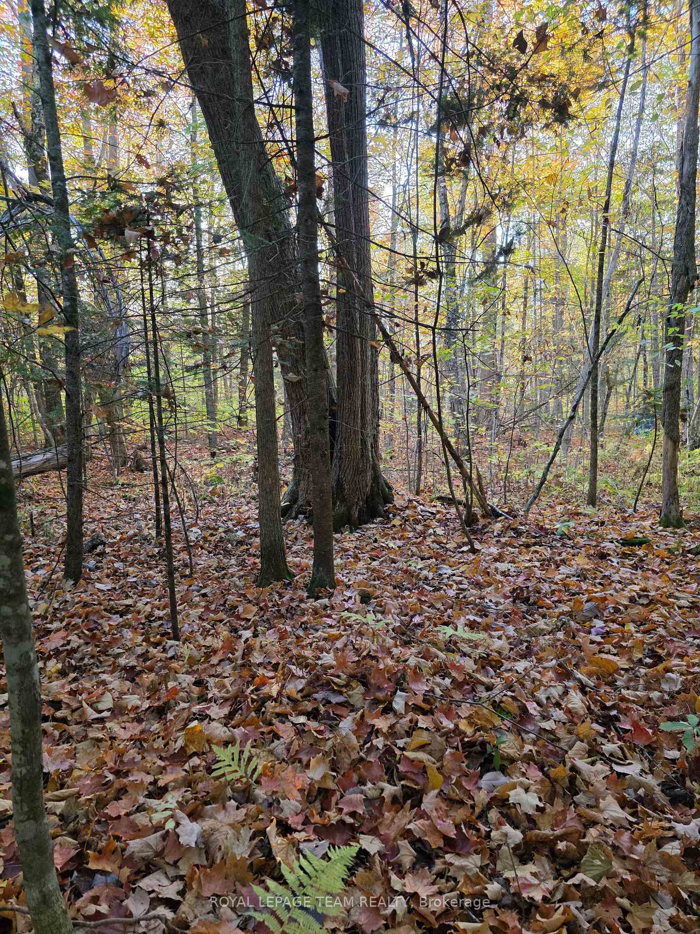 Photo 18 of 000 Dukelow Road, Edwardsburgh/Cardinal, Edwardsburgh/Cardinal Twp — HOMEH