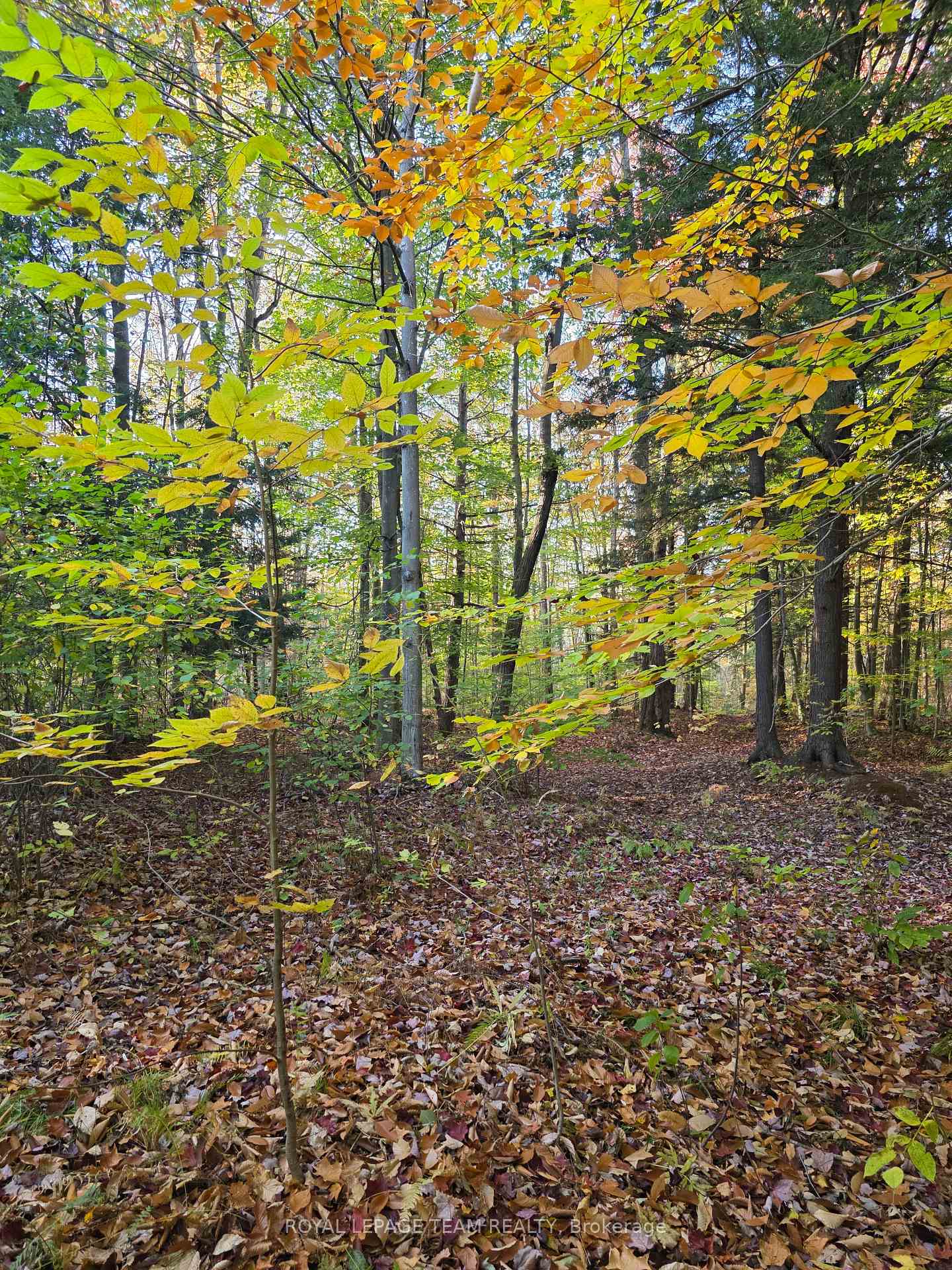 Photo 9 of 000 Dukelow Road, Edwardsburgh/Cardinal, Edwardsburgh/Cardinal Twp — HOMEH
