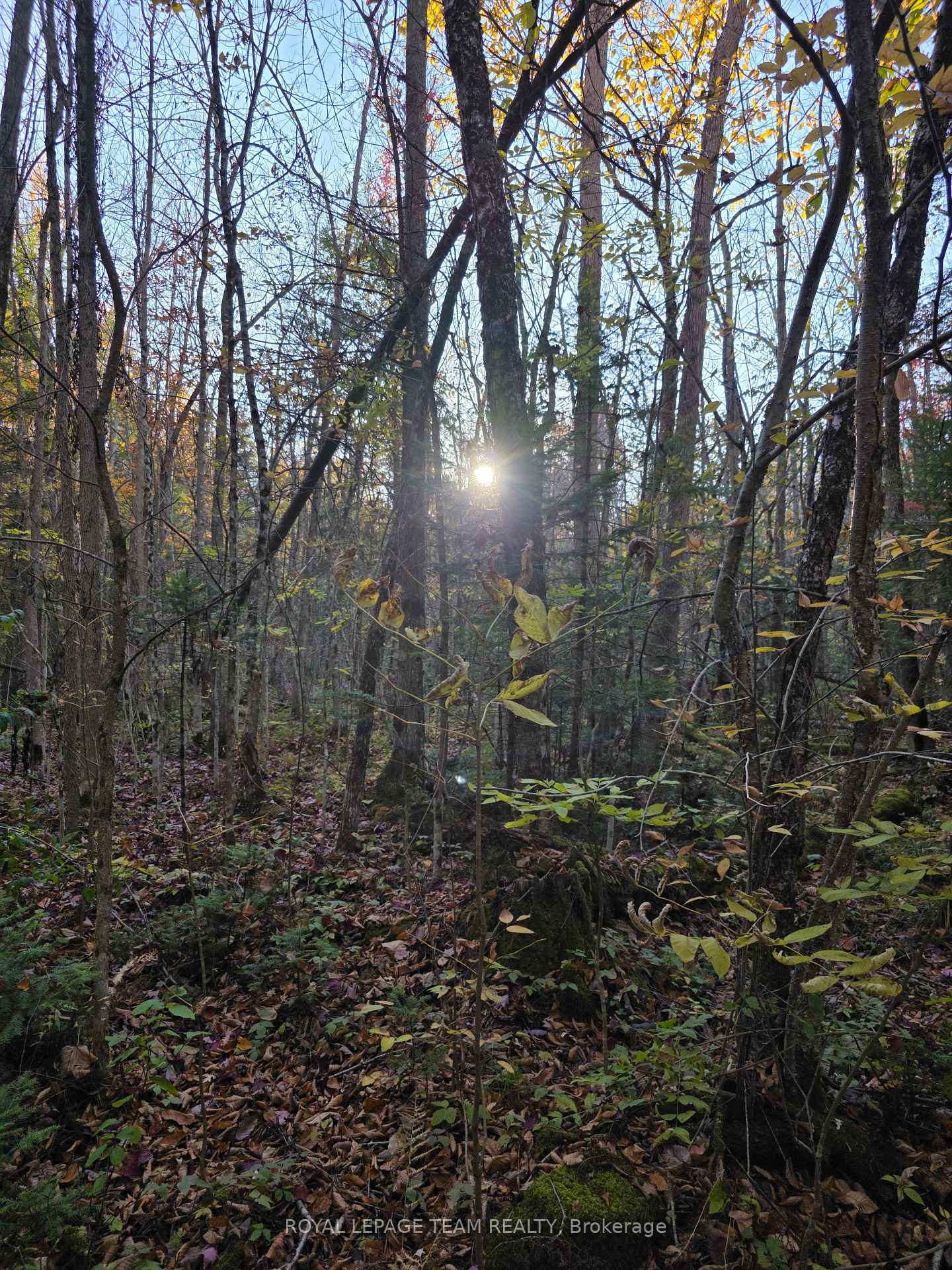 Photo 16 of 000 Dukelow Road, Edwardsburgh/Cardinal, Edwardsburgh/Cardinal Twp — HOMEH