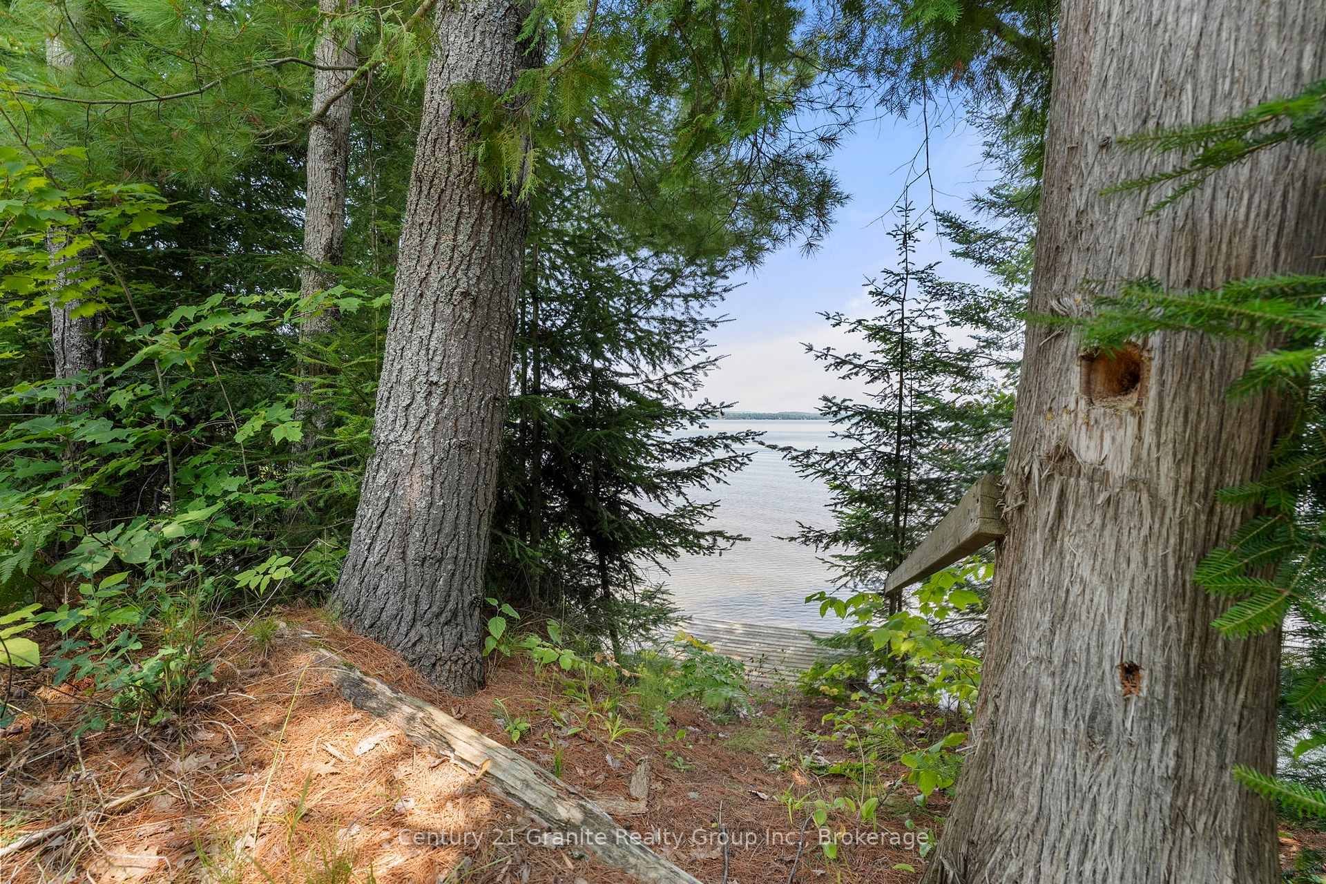 Photo 43 of 1753 Northshore Road, Algonquin Highlands, Stanhope — HOMEH