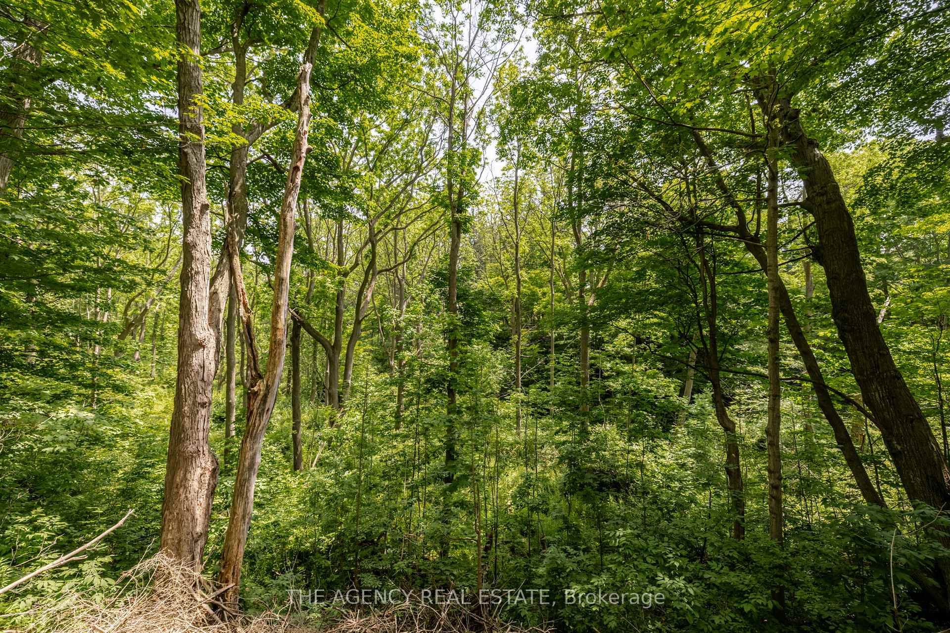 Photo 25 of 46299 North Street N, Central Elgin, Sparta — HOMEH