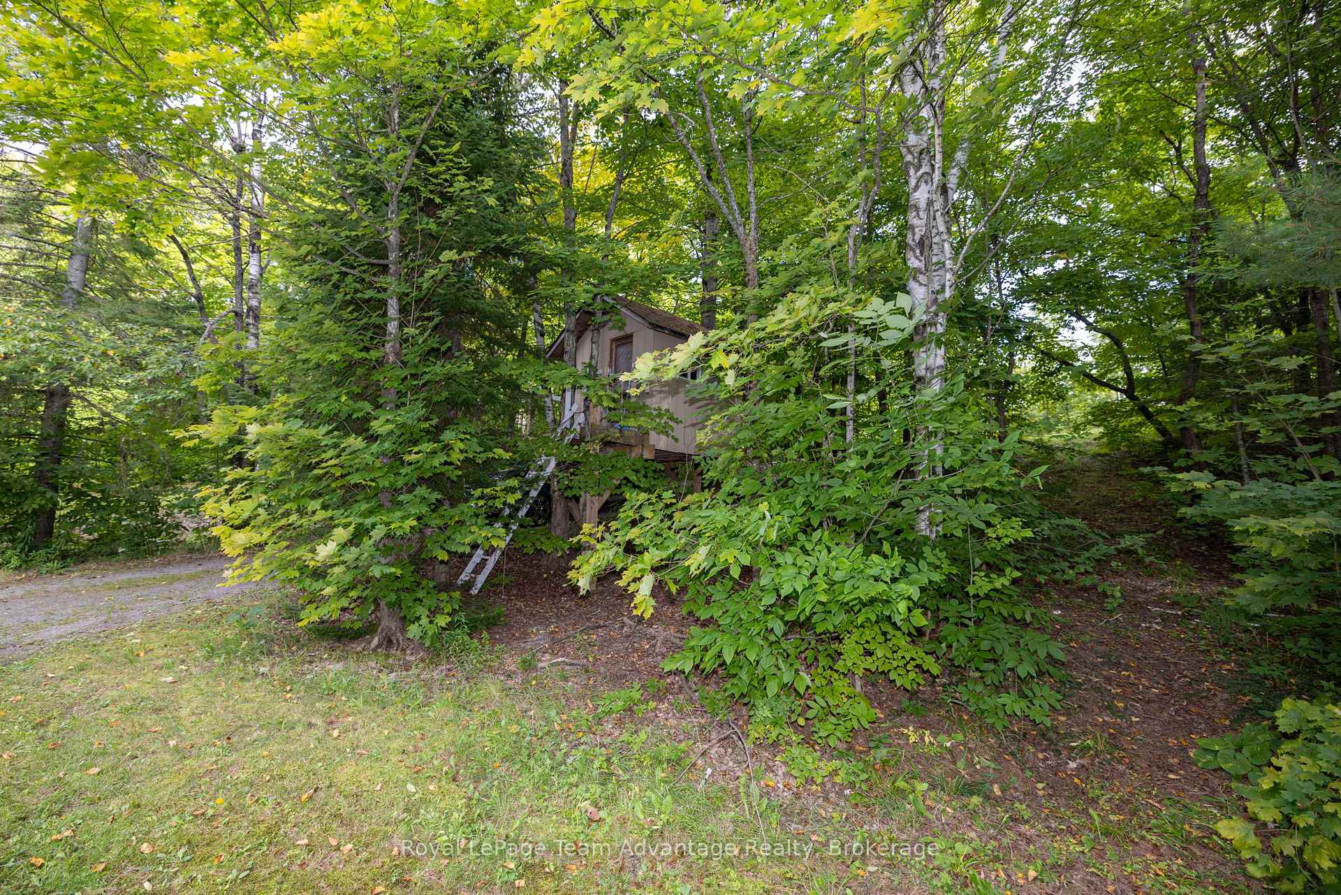 Photo 5 of 79 Mckellar Lake Road, McKellar — HOMEH