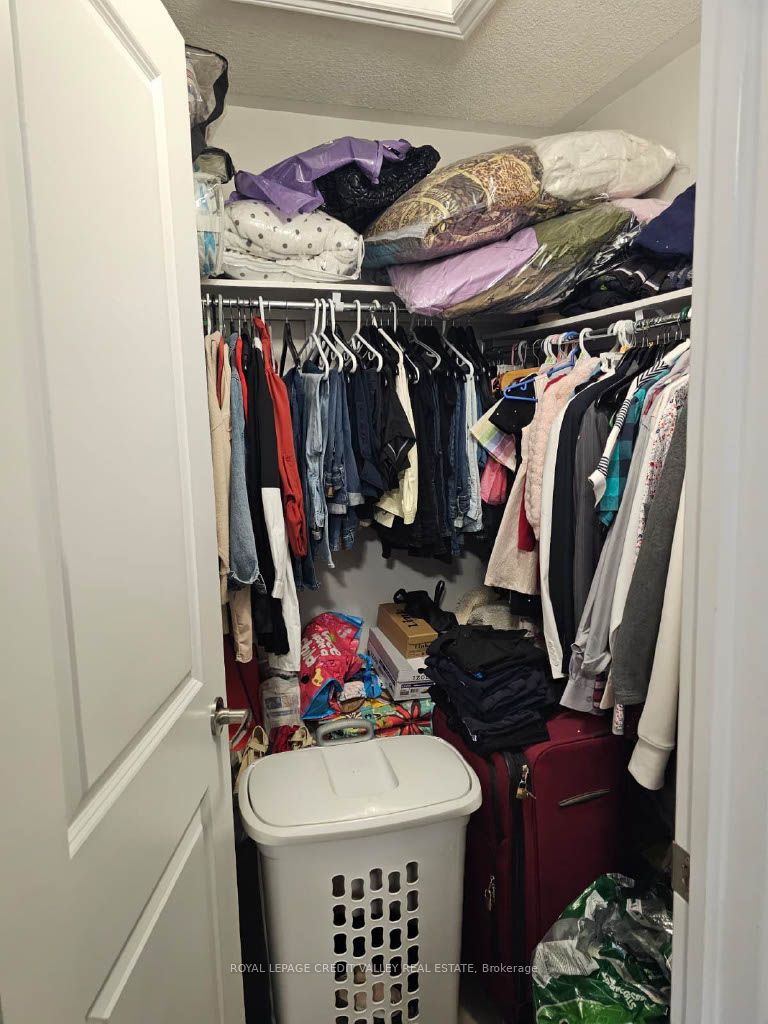 Photo 14 of 146 Werry Avenue, Southgate — HOMEH