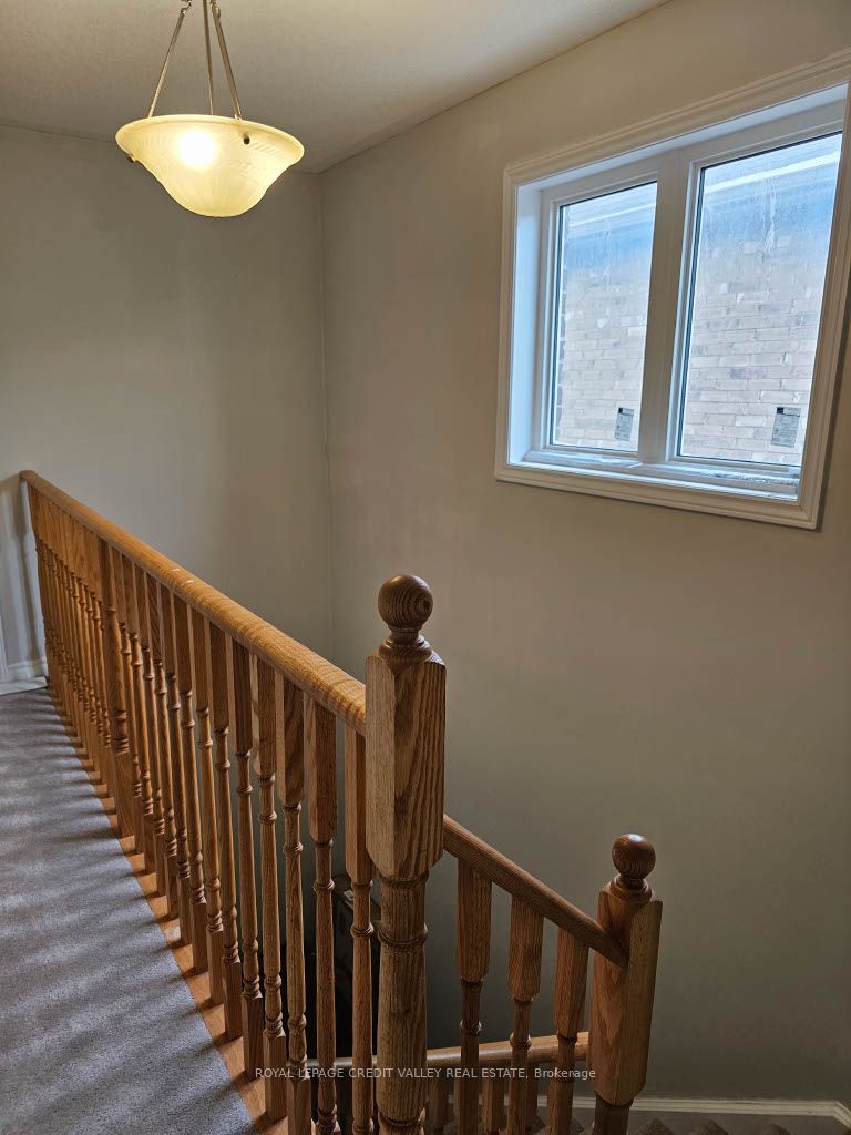 Photo 6 of 146 Werry Avenue, Southgate — HOMEH