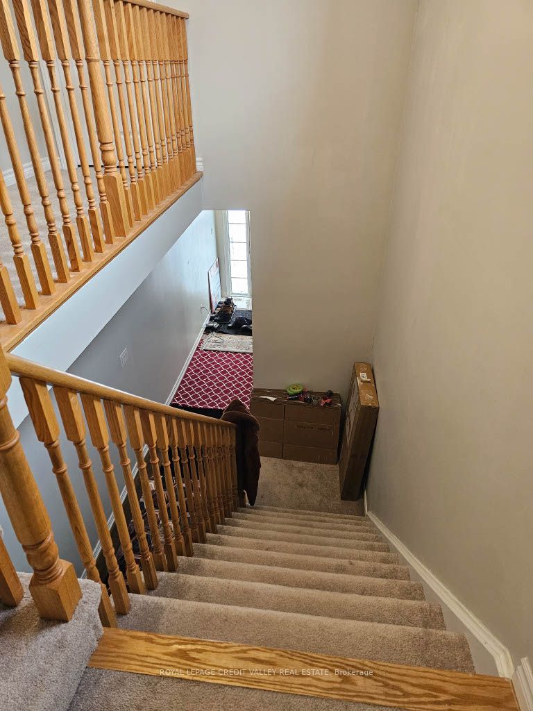 Photo 7 of 146 Werry Avenue, Southgate — HOMEH