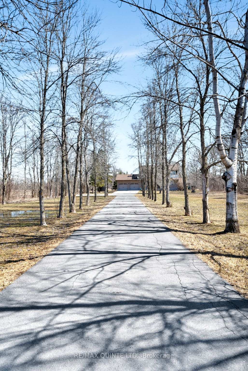 Photo 6 of 246 Mitchell Road, Belleville, Belleville Ward — HOMEH