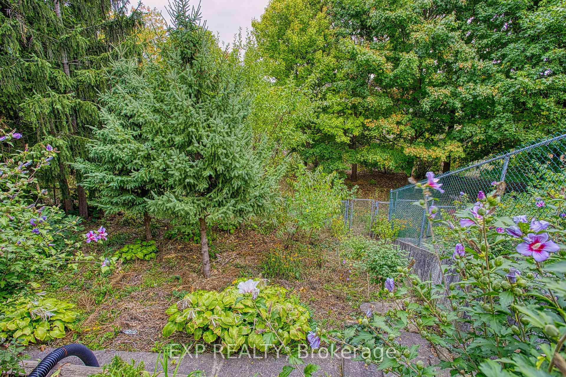 Photo 40 of 633 Rosseau Road, Hamilton, Rosedale — HOMEH