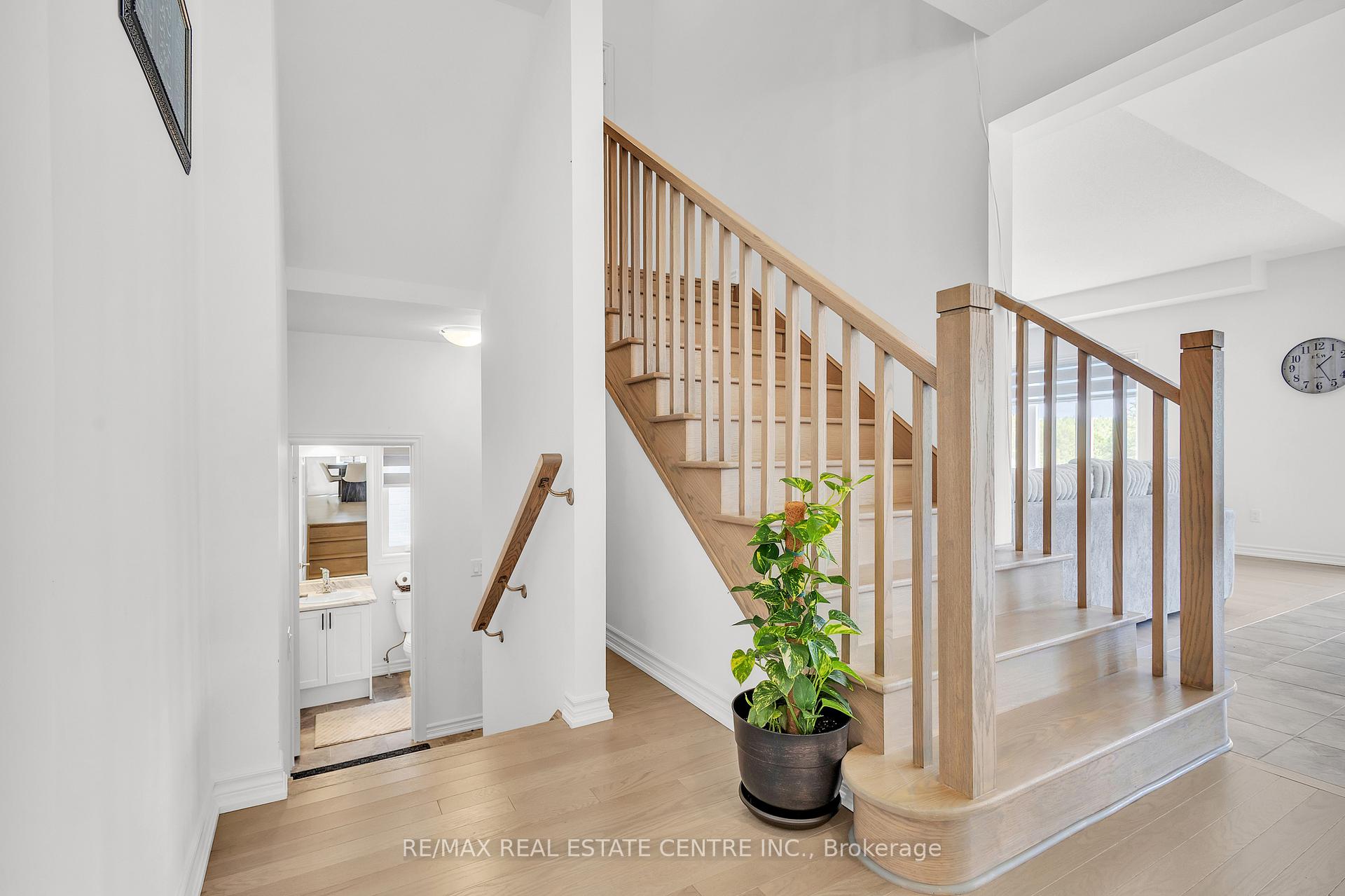 Photo 17 of 341 Russell Street, Southgate — HOMEH