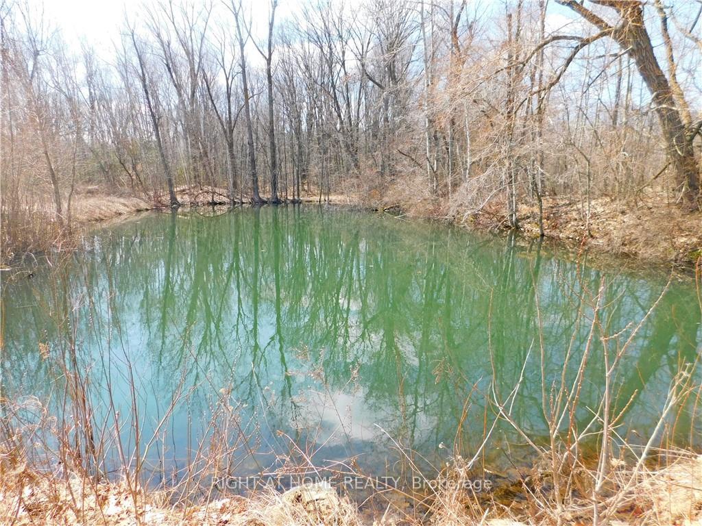Photo 39 of 1101 Derry Road, Milton, Rural Milton West — HOMEH
